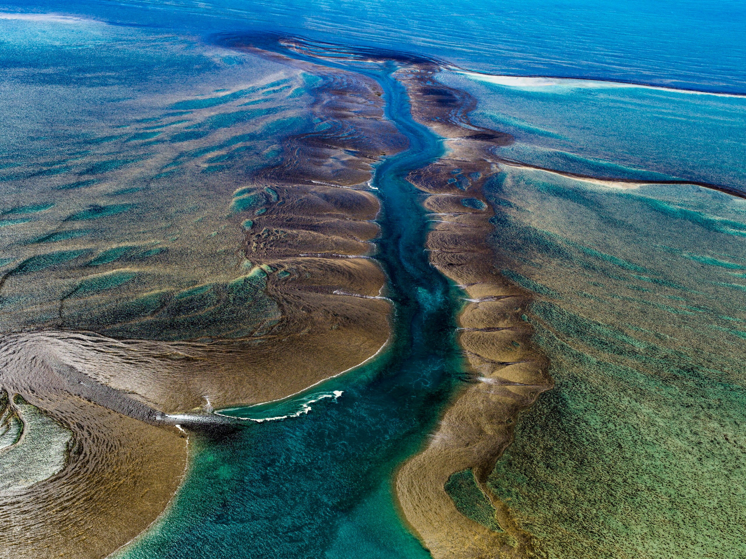 Aerial view of Montgomery Reef, Western Australia/Getty Images