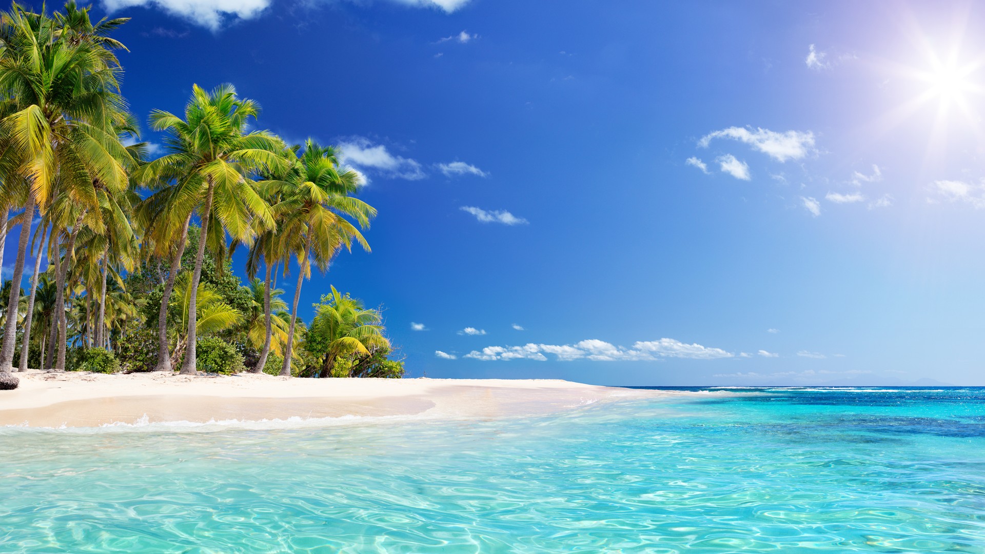 Everything You Need to Know About a Cruise in the Caribbean