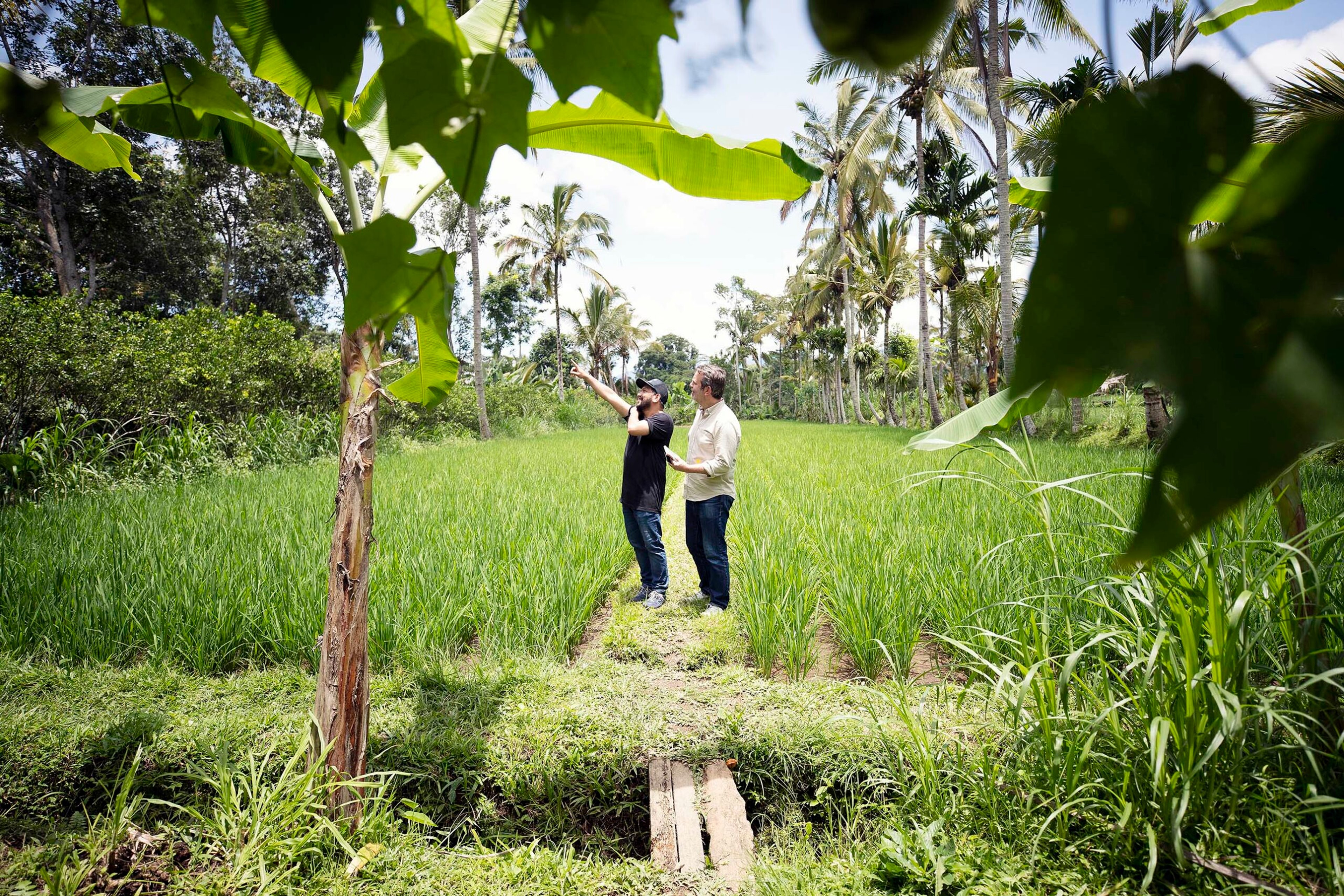 Adam Sachs, Director of S.A.L.T./Lucia Griggi