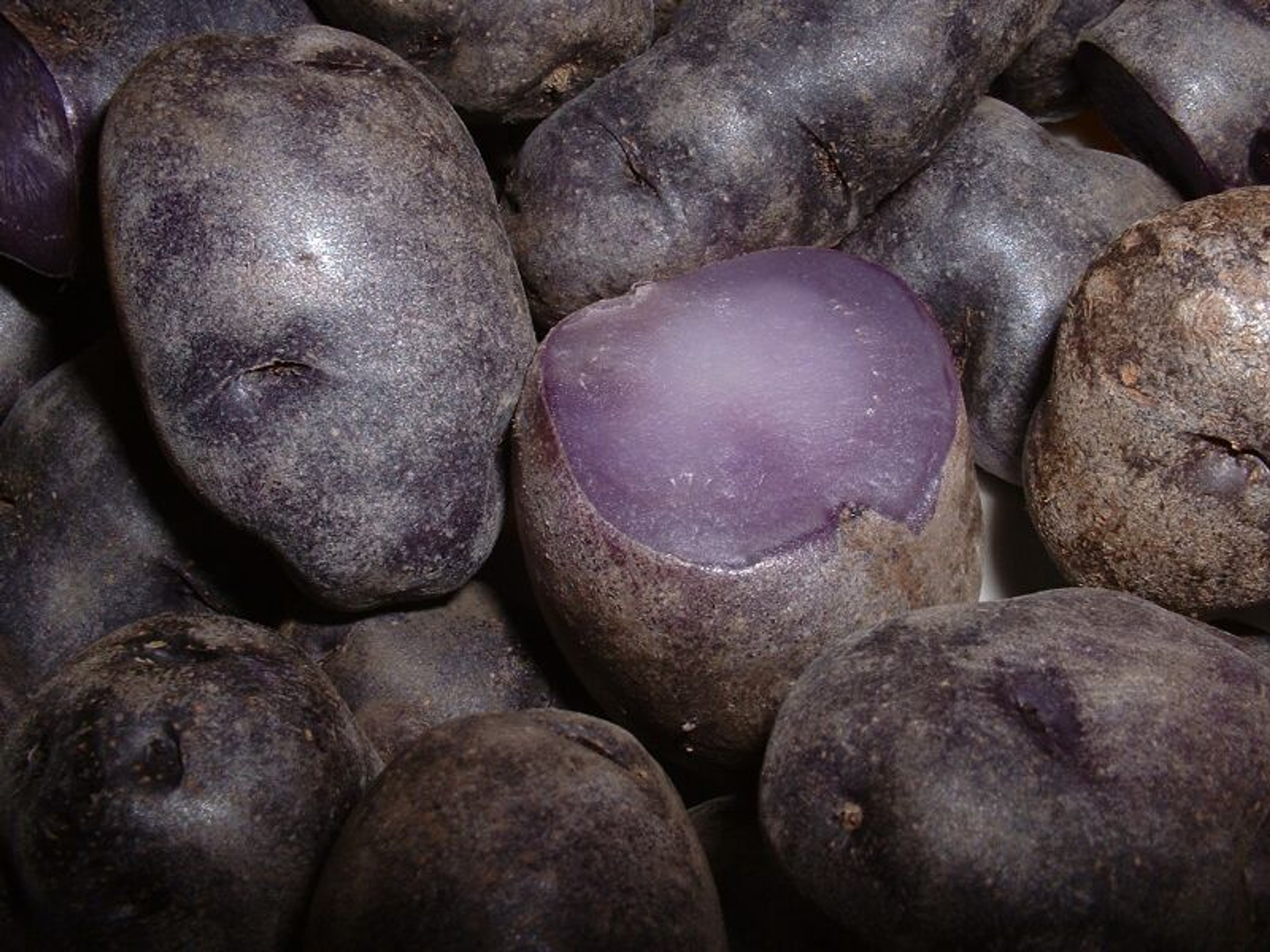 Potatoes come in an array of colors in South America, including the purple Peruvian./Wikimedia Commons