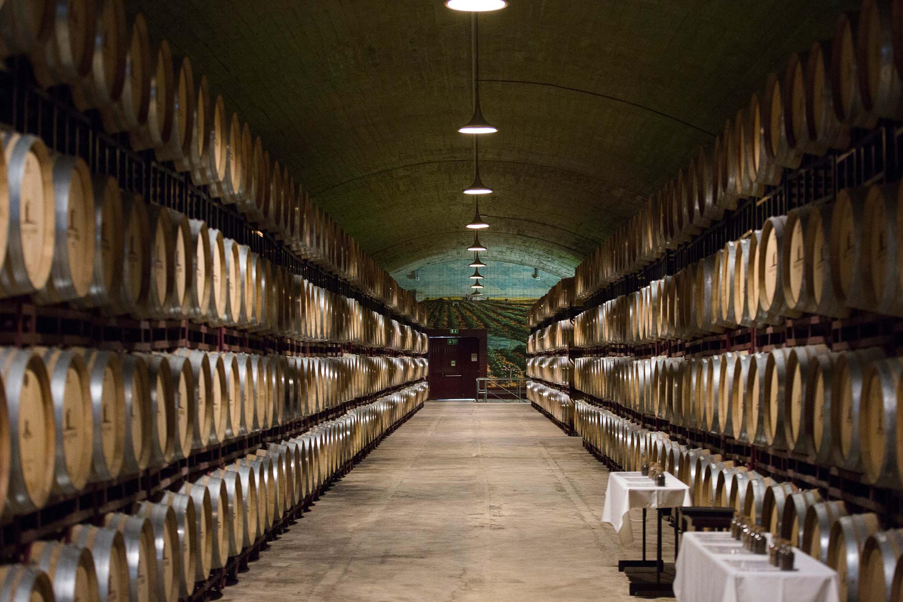 Italy's diverse viticulture includes 590 grape varieties and more than 500 wine regions./Lucia Griggi