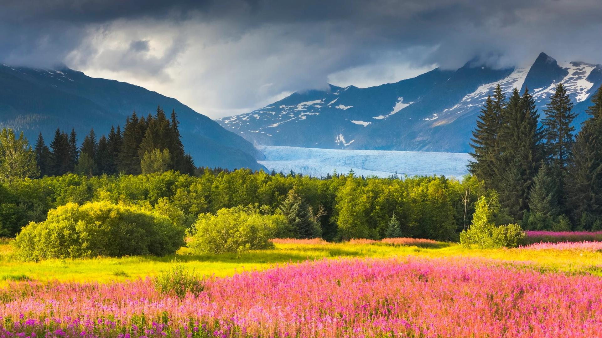 What Makes Alaska Shine So Brightly? An Insider Shares What’s Quirky and Captivating
