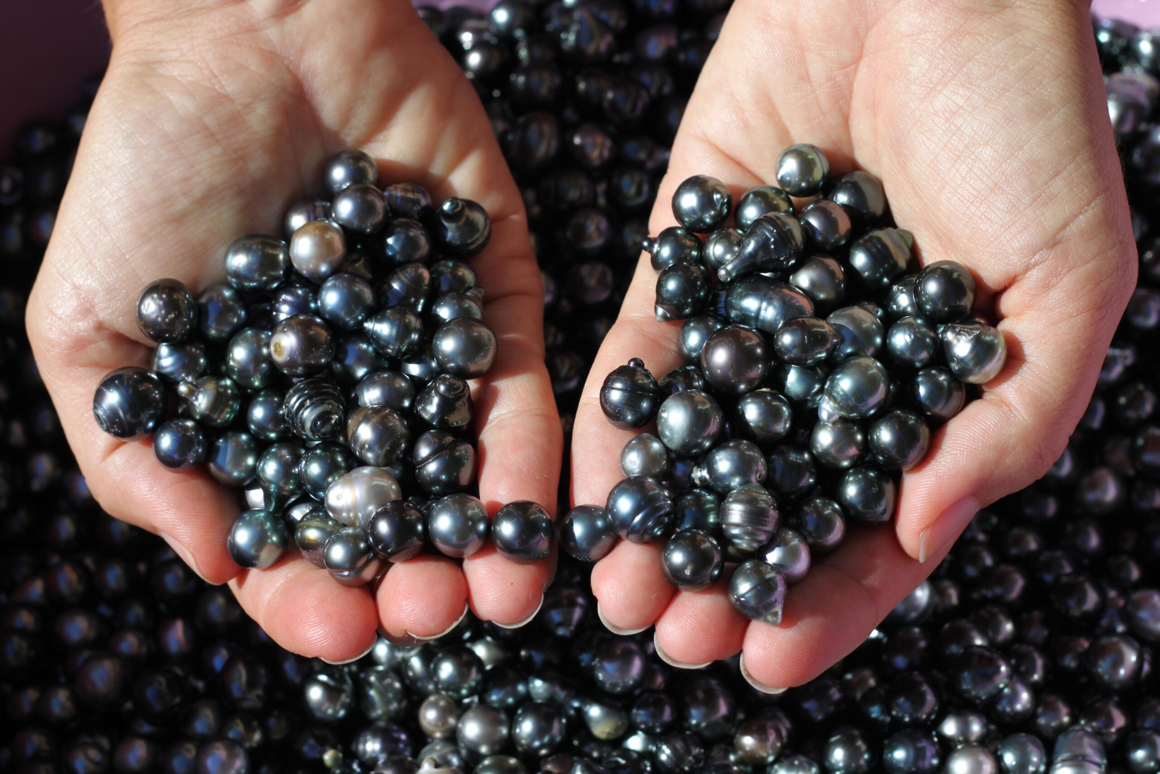 Tahitian black pearls can vary in size and color./iStock photo