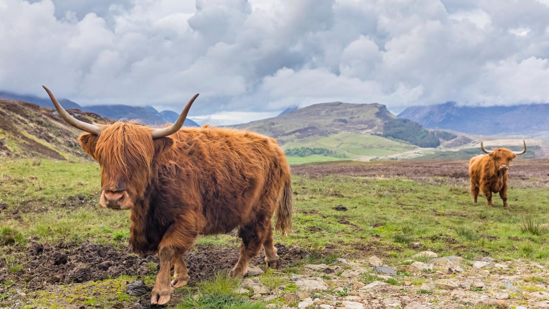 What You’ll Want to Read for Your U.K. Voyage, Especially if You Love Scotland