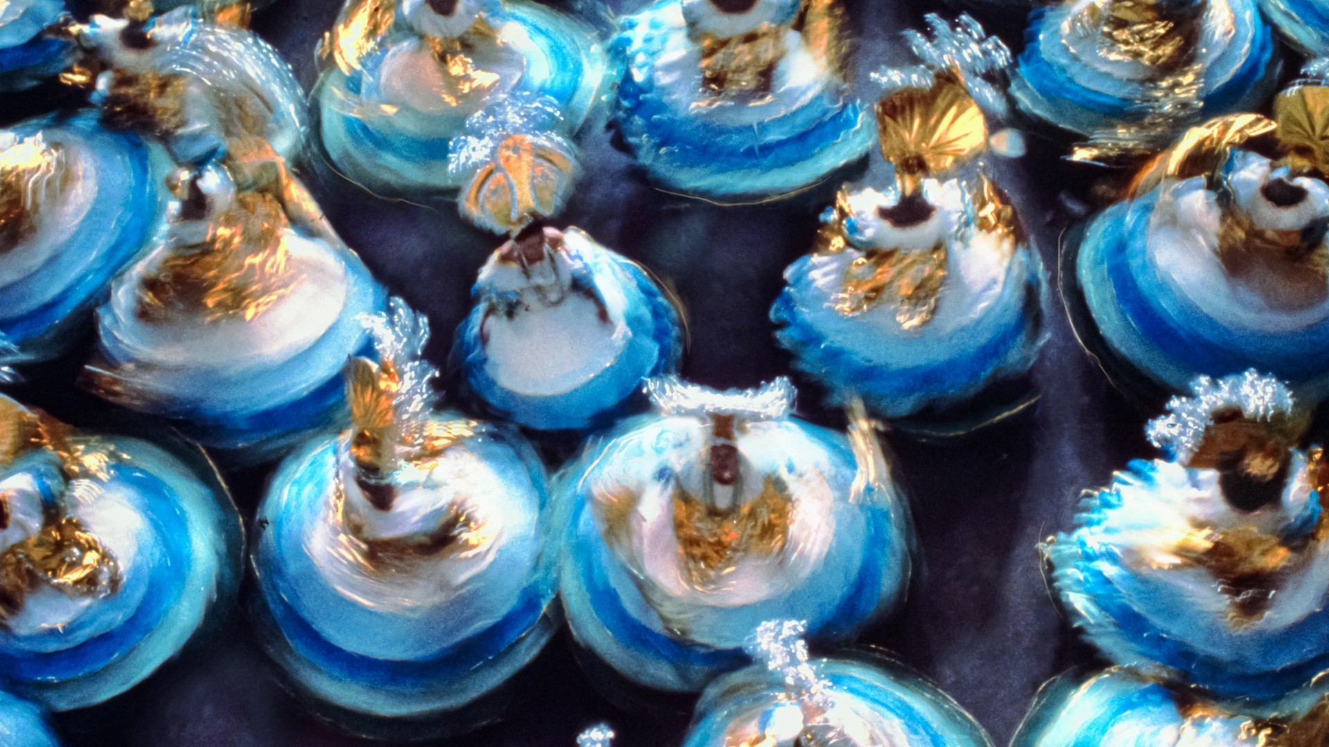 Silversea’s World Cruise 2028: Five Continents and 30 Countries Equals Adventures Galore