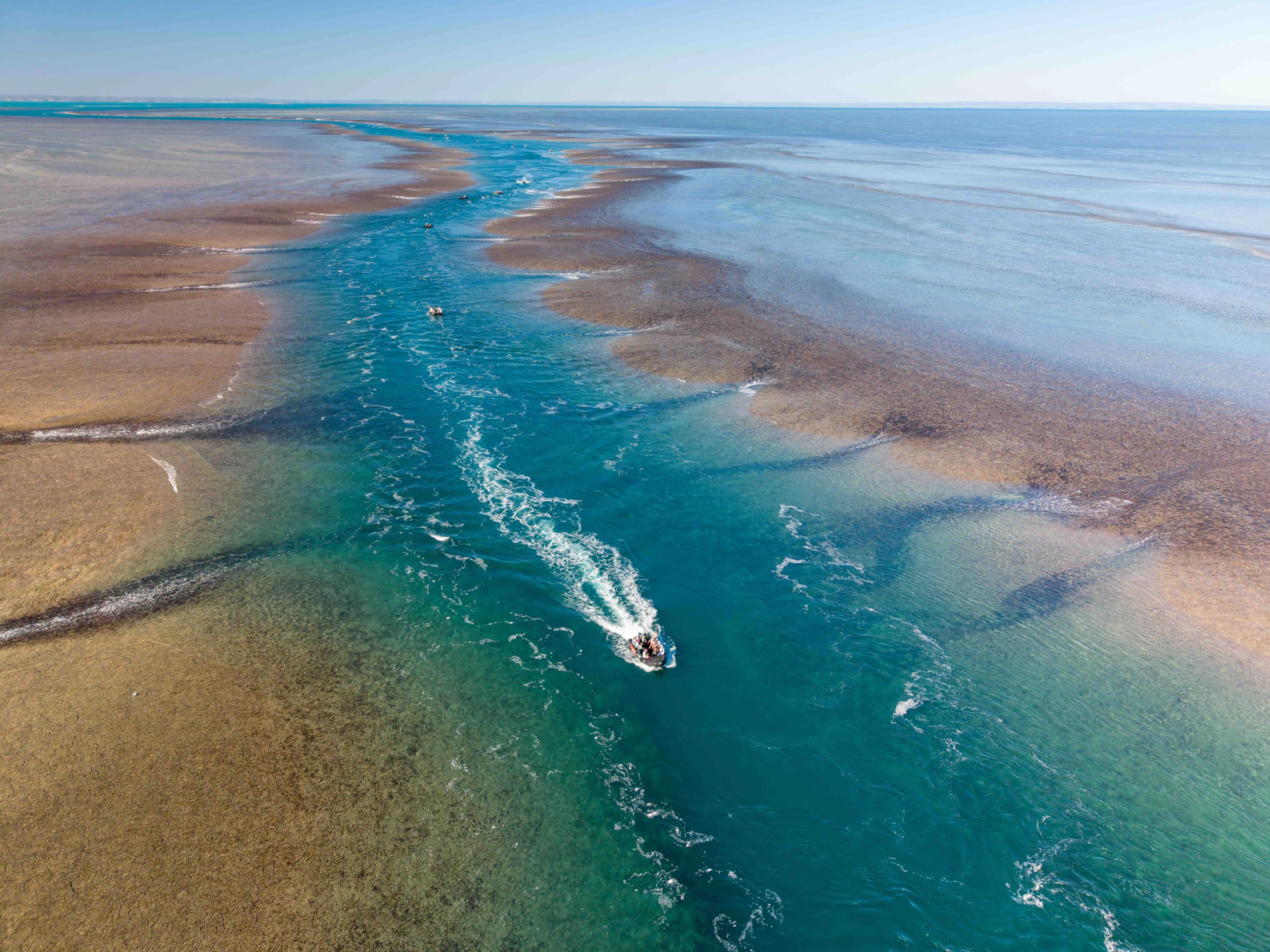 Montgomery Reef, part of Australia's Kimberley region, is a highlight of Silversea's 2026 Grand Australia voyage./Silversea