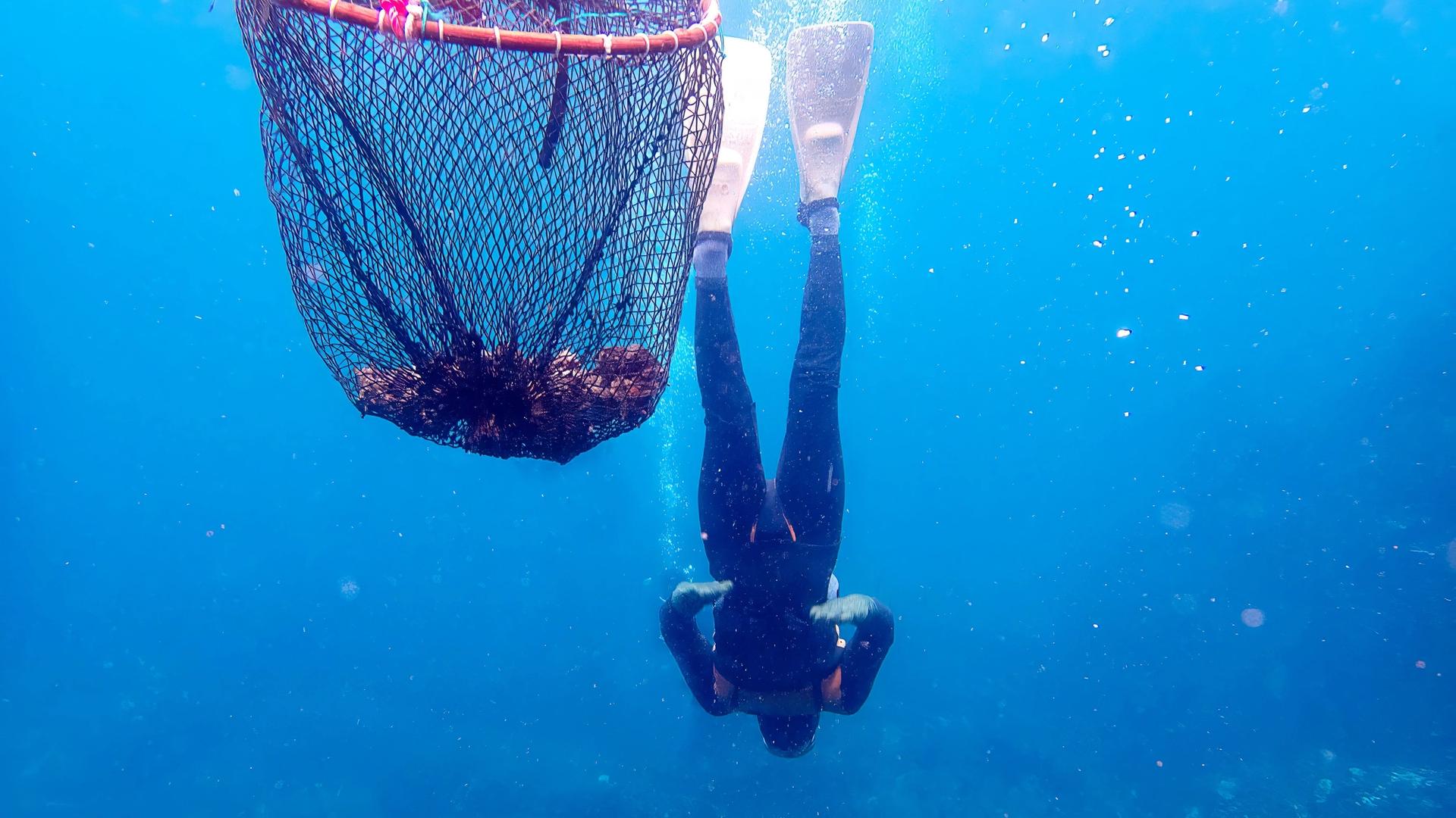 On South Korea’s Jeju Island, Sea Women’ Create Magic