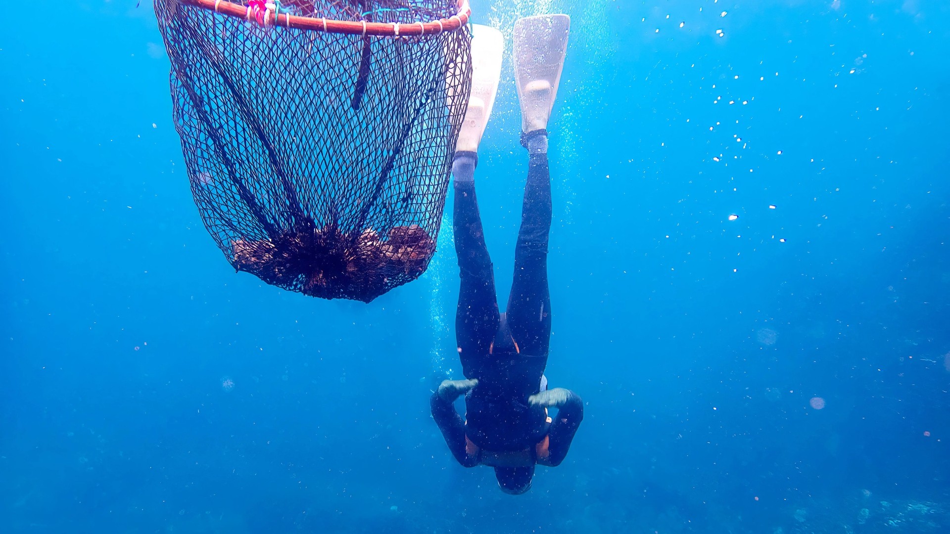 On South Korea’s Jeju Island, Sea Women’ Create Magic