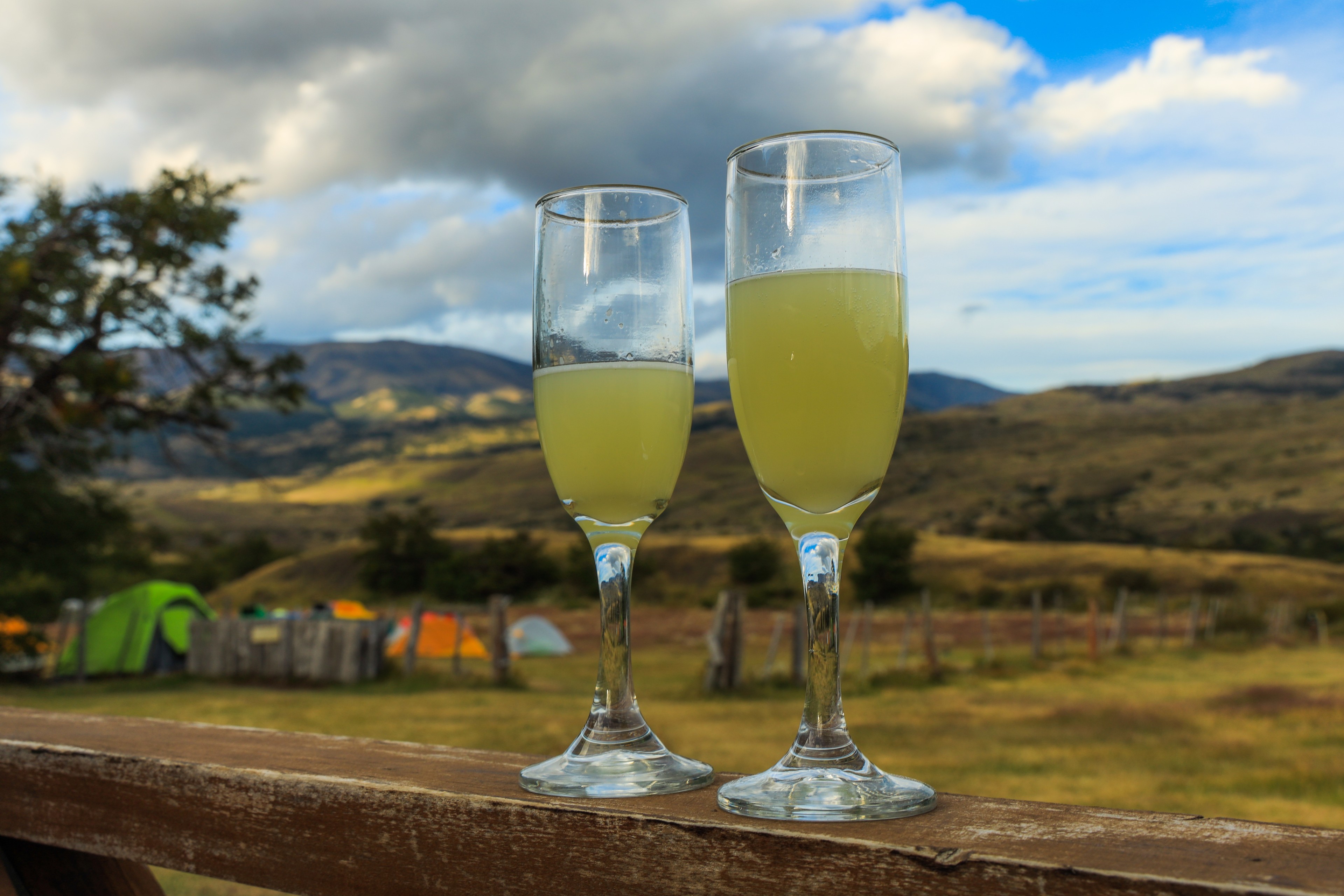 Pisco in Chile./ Shutterstock