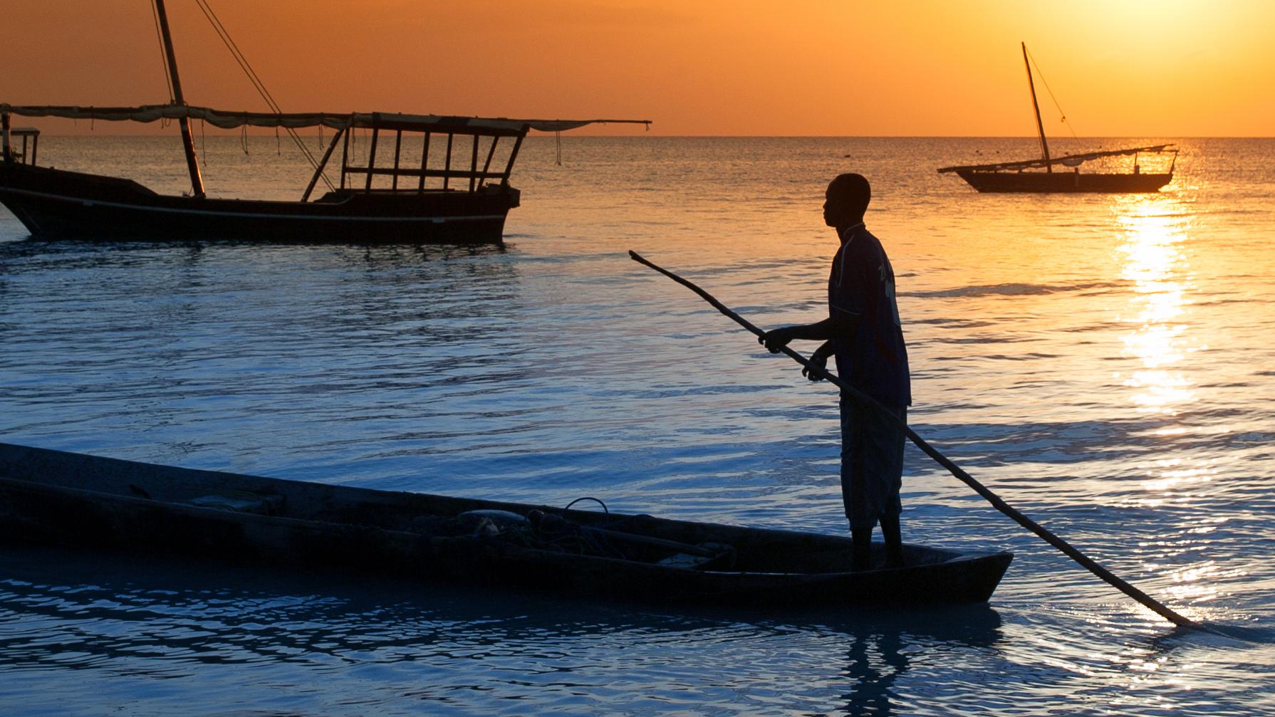 Pico Iyer on Counting the Cats in Zanzibar