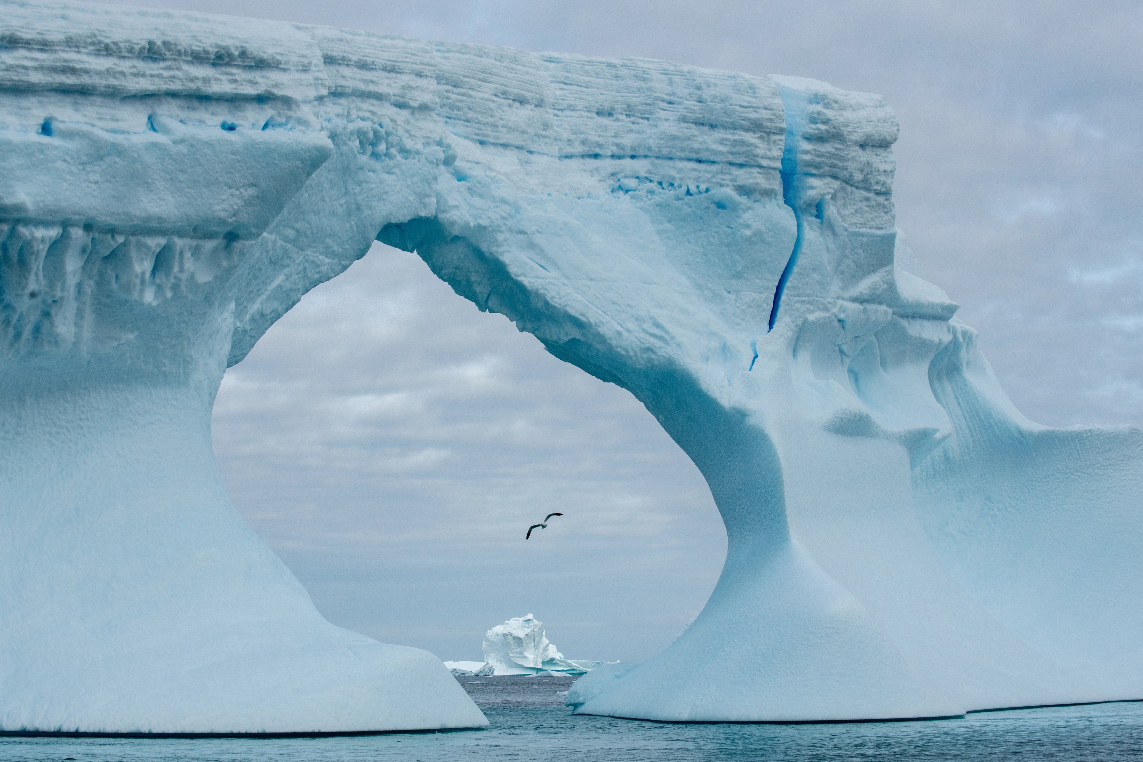 Stunning ice formations in the Antarctic Peninsula/Denis Elterman