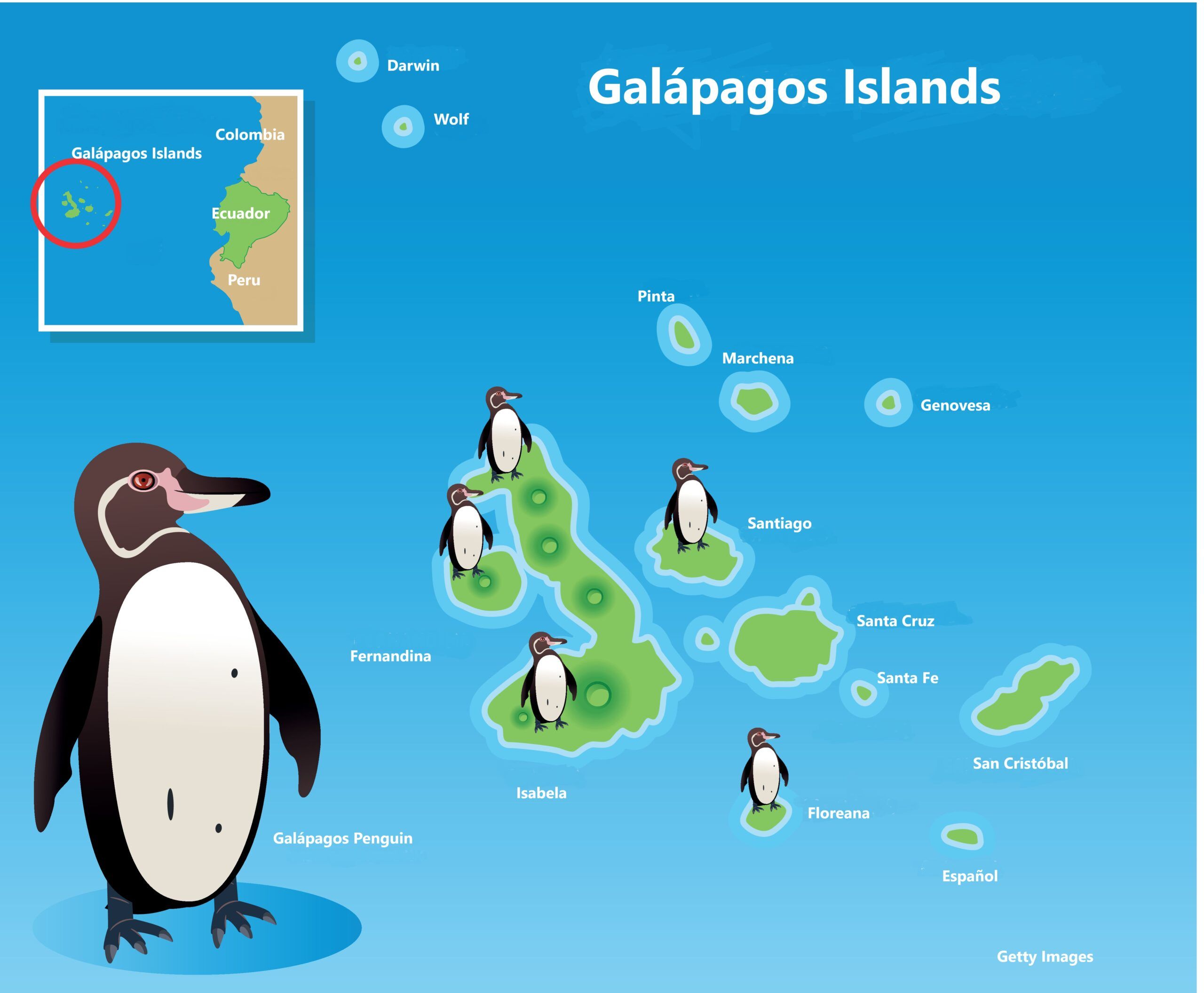 Aura Banda's Galápagos Islands: Protecting the Natural World Is a