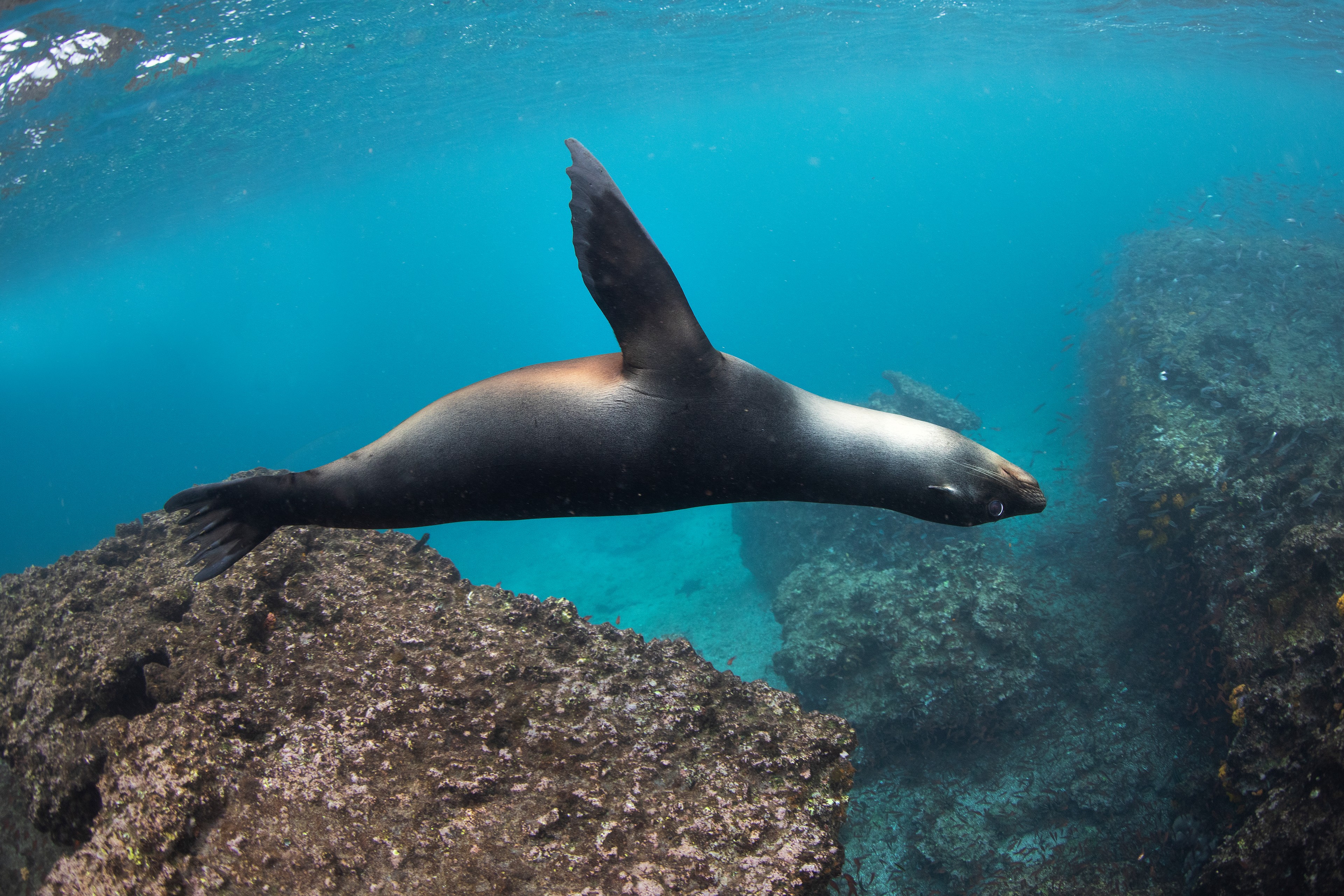 Silversea photo by Lucia Griggi