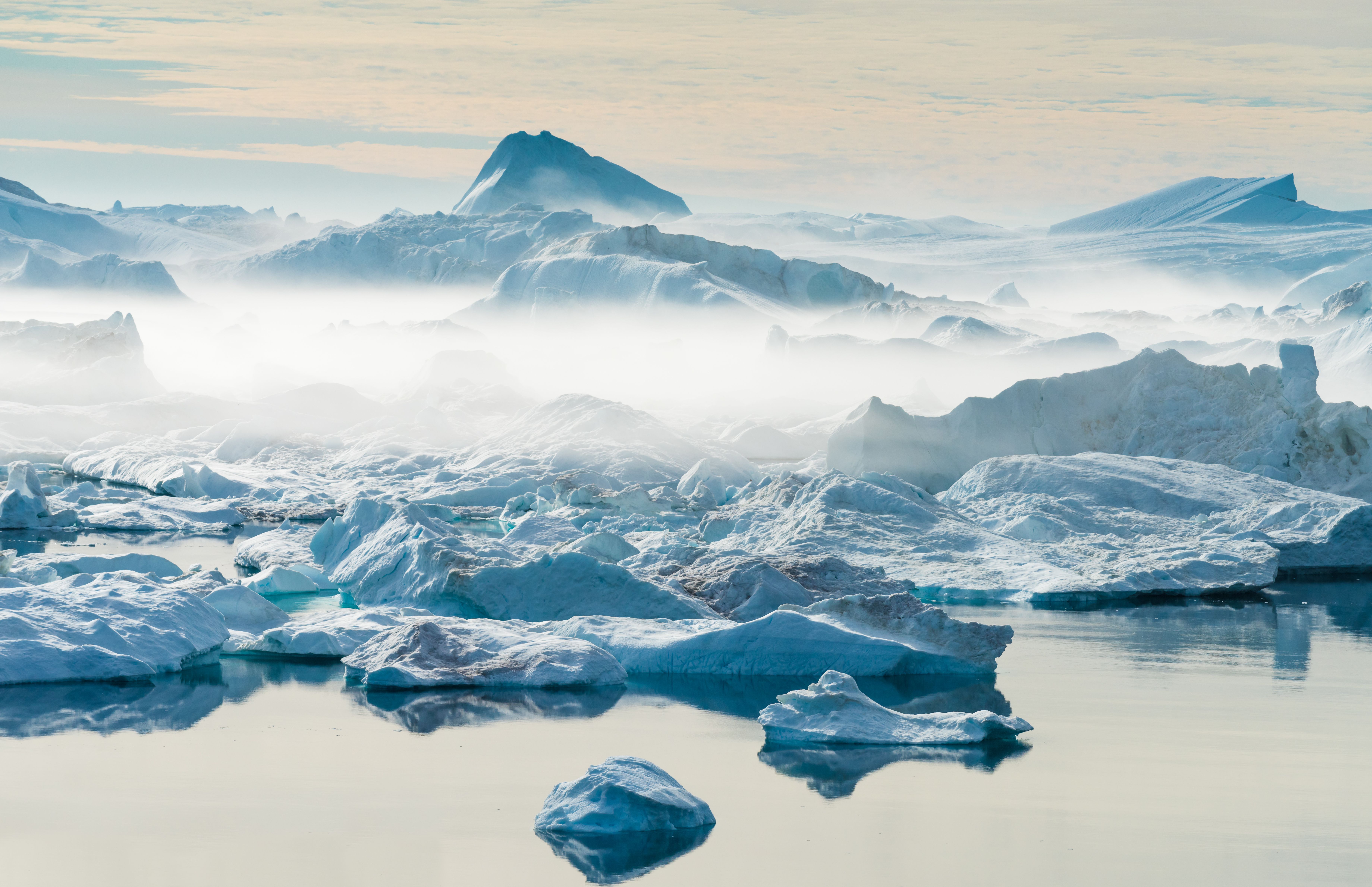 Arctic Cruise Expeditions: What To Expect on a Trip to the Polar North