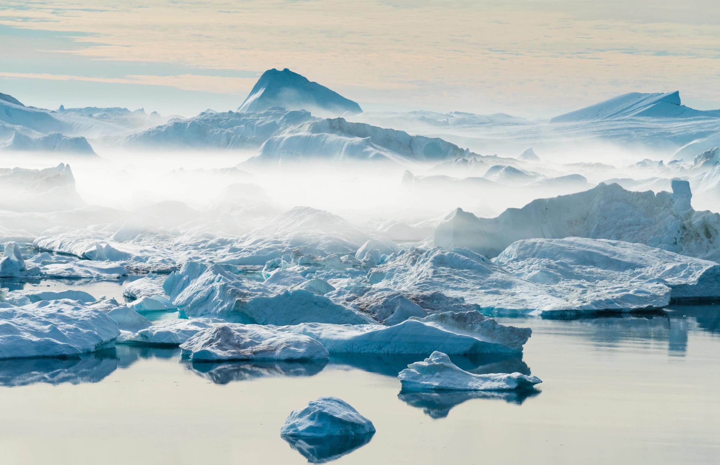 What To Expect Expedition Arctic