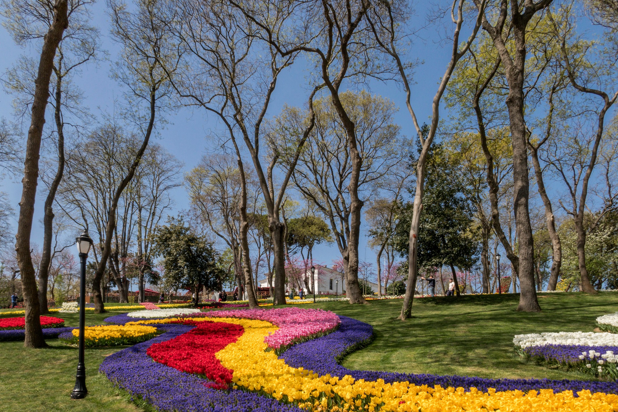 Istanbul's annual tulip festival/Getty