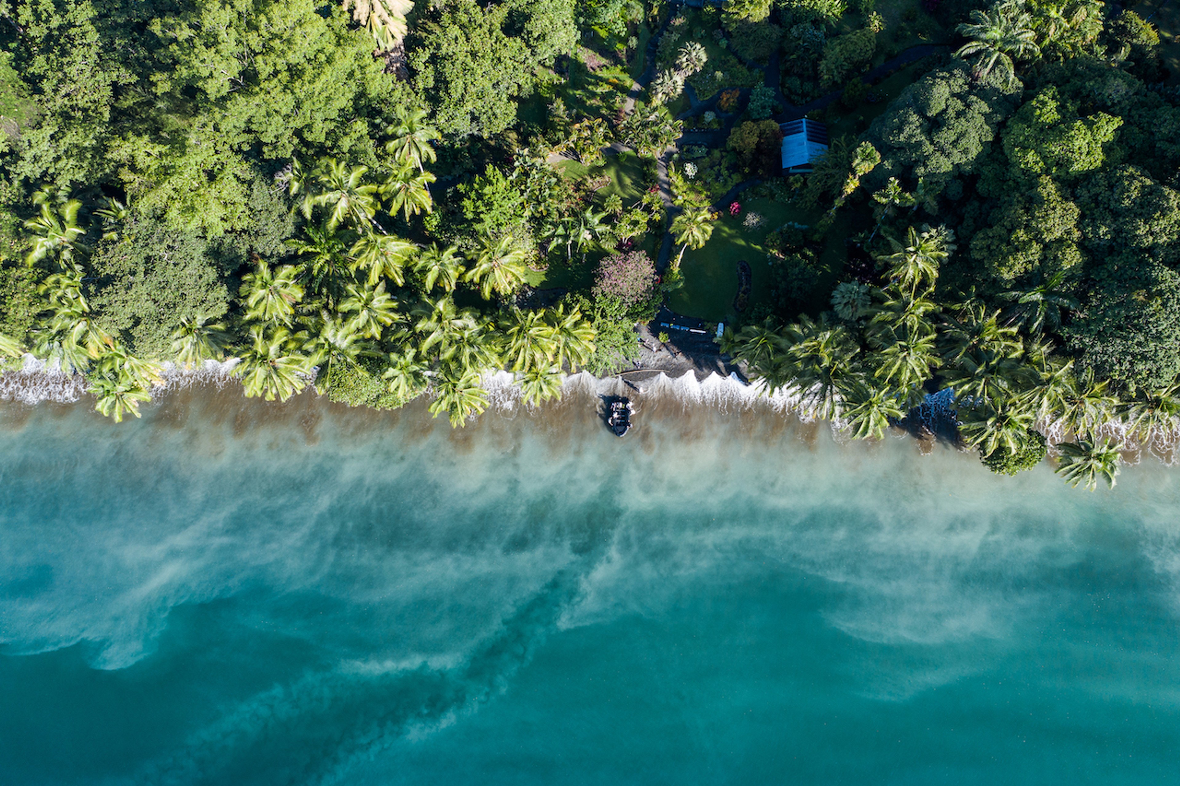 Exploring the jungles of Costa Rica on an expedition cruise./Benn Berkeley