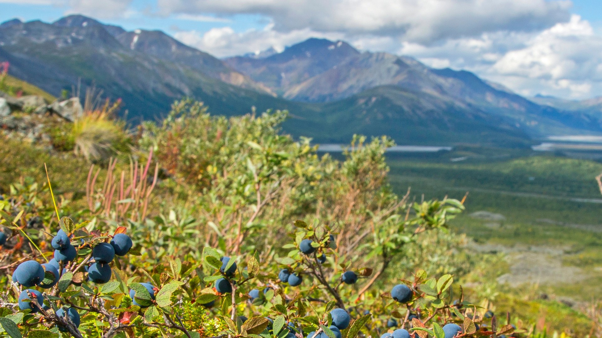 Salmon Sisters Join S.A.L.T. to Share Alaska’s Culinary Secrets