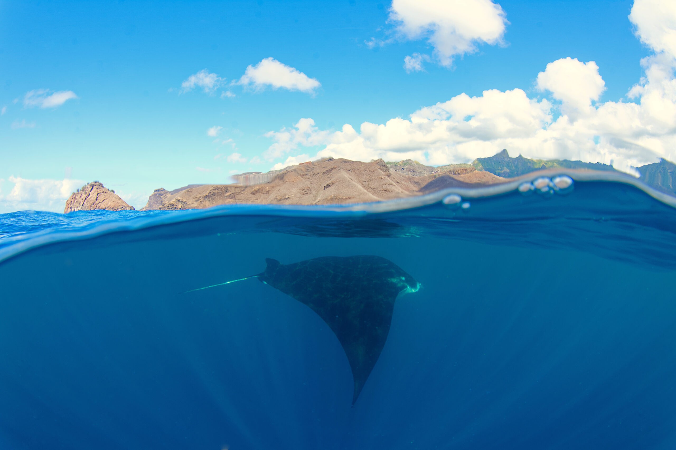 Manta ray off Nuku Hiva, Marquesas Islands/Shutterstock
