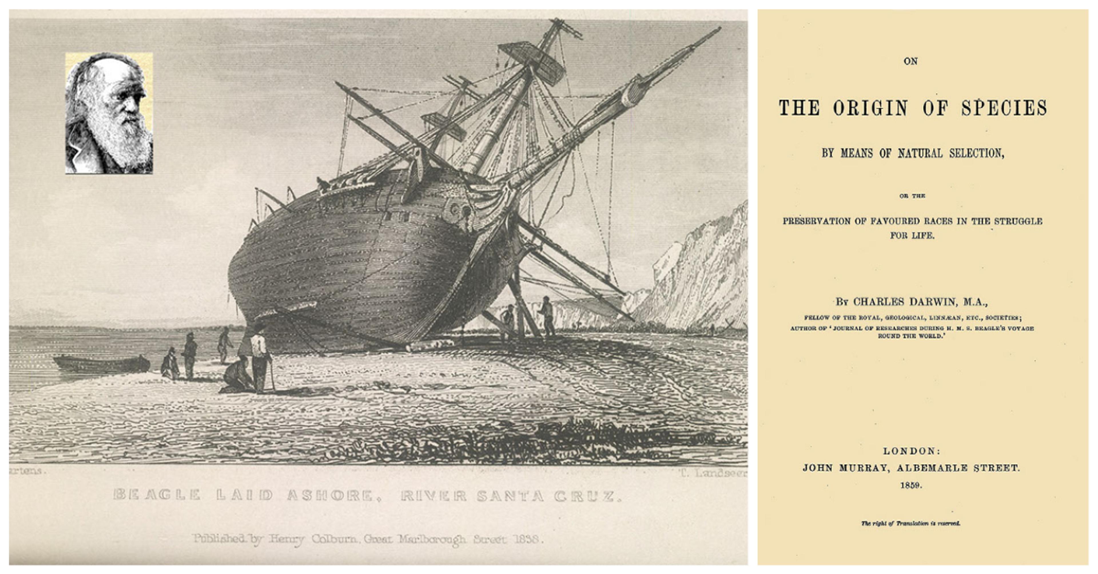 Darwin, upper left, visited the Galapagos in the 1830s but did not publish his "Origin of Species" until more than two decades later.