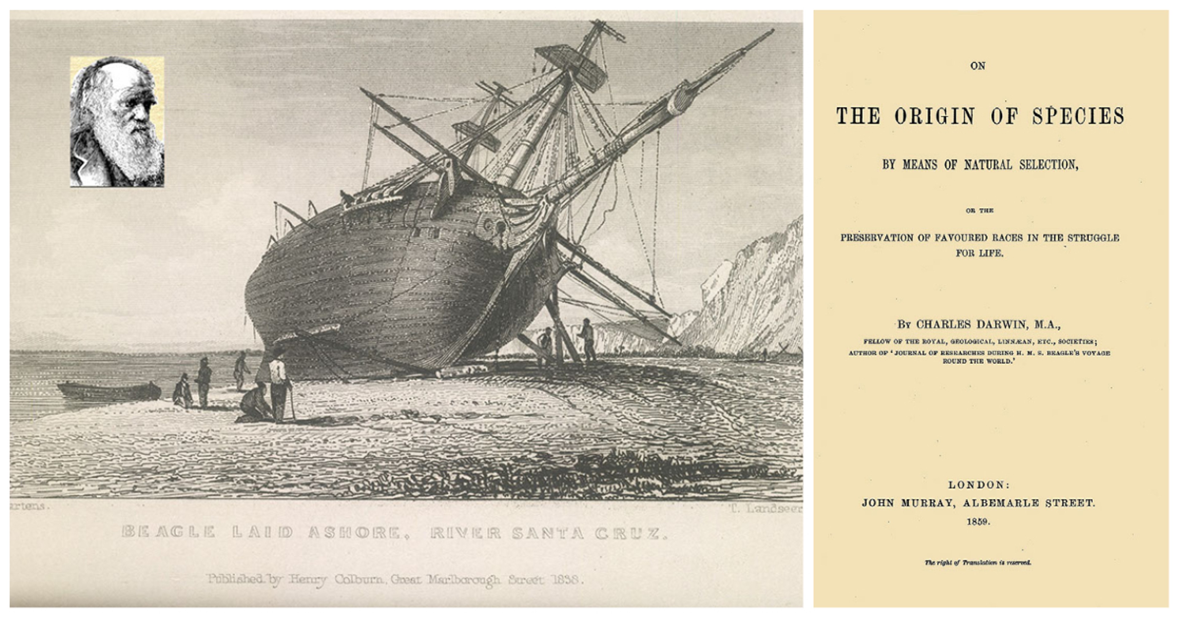 Darwin, upper left, visited the Galapagos in the 1830s but did not publish his "Origin of Species" until more than two decades later.