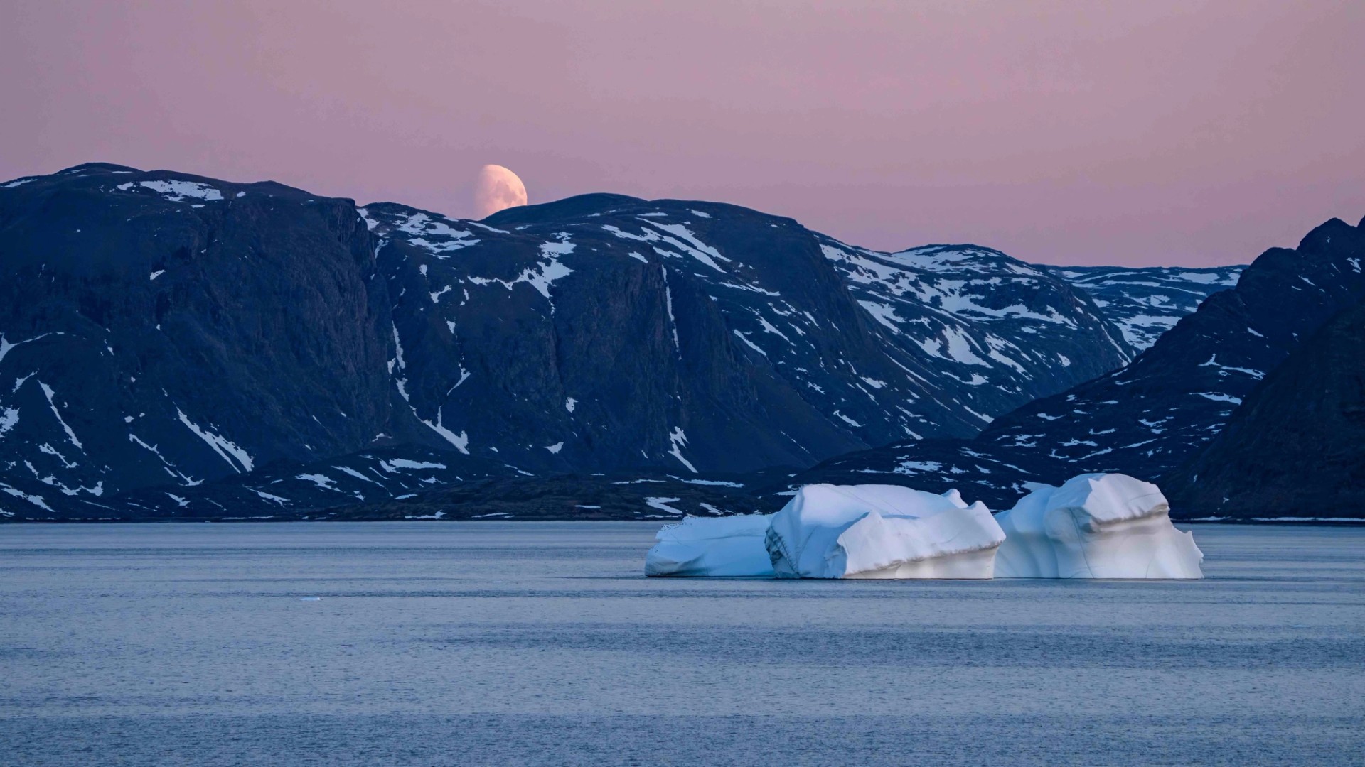 Everything You Need to Know About An Arctic Cruise