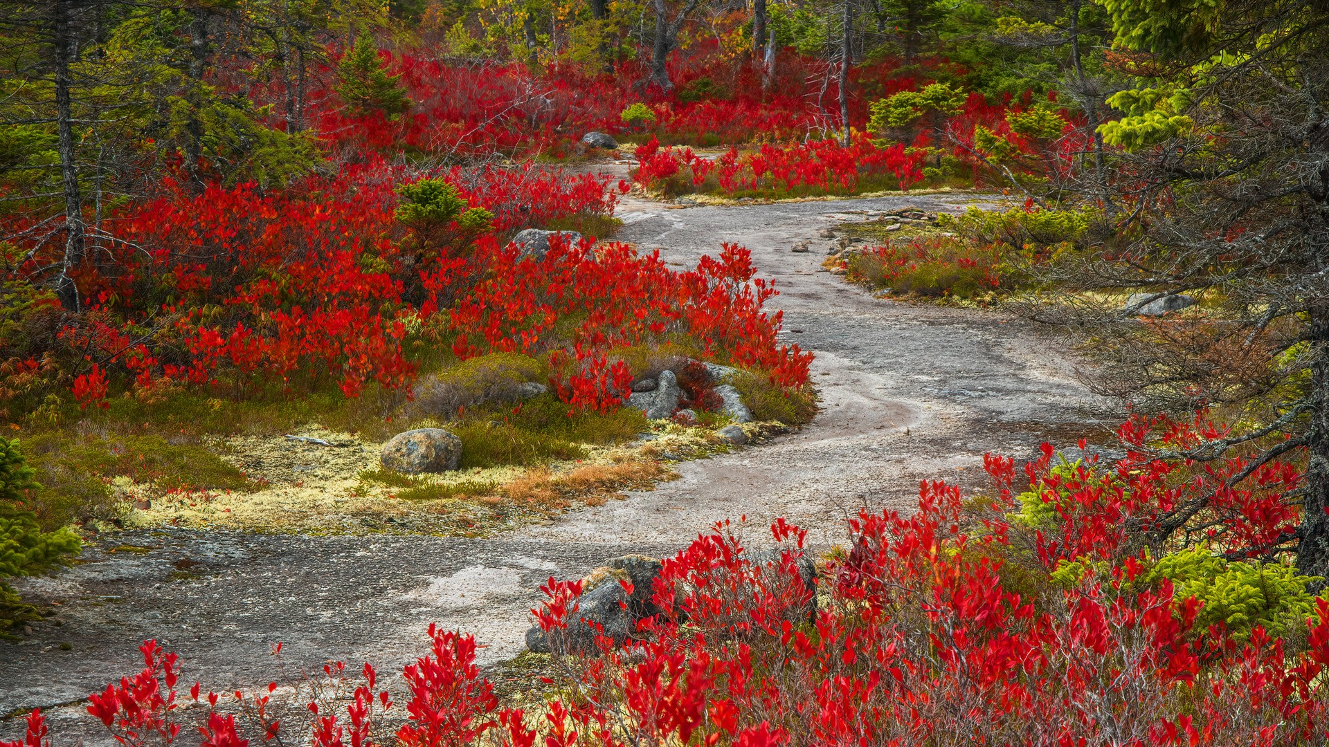 Everything You Need to Know for Your Canada-New England Voyage