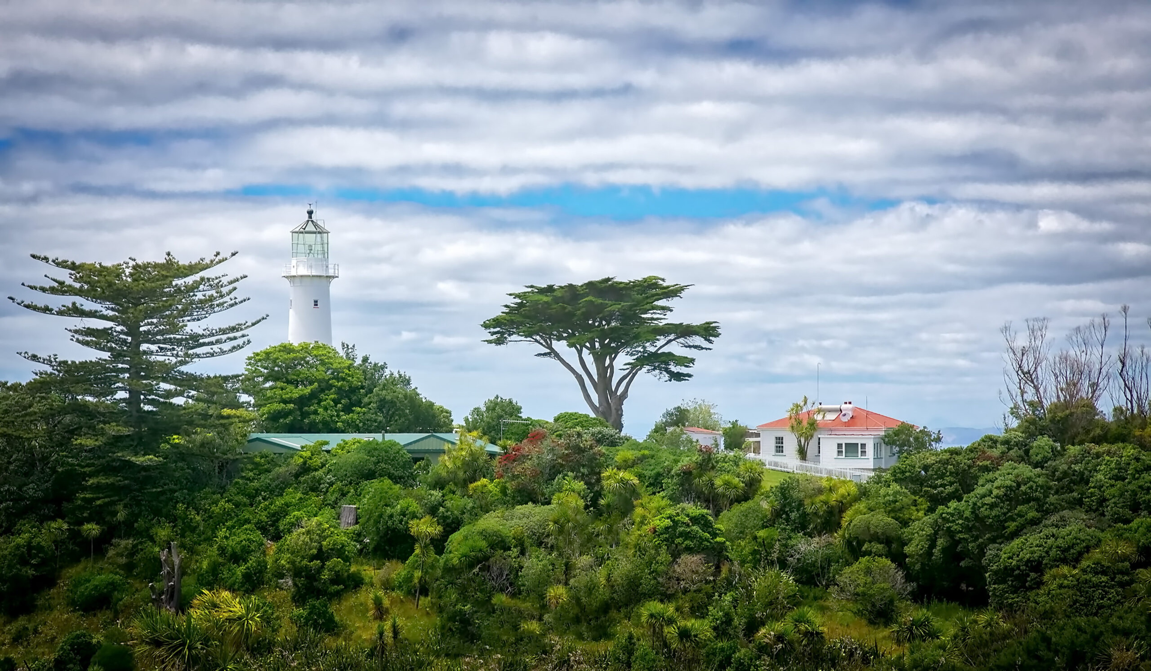 Tiritiri Island is back from the brink./Getty Images