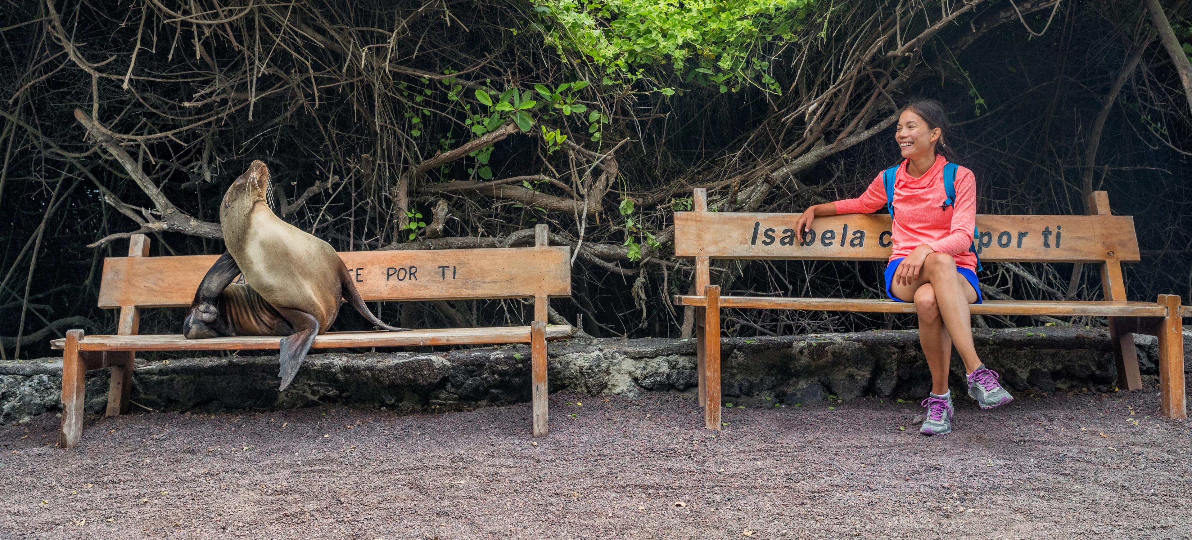 Everything You Need to Know About the Galápagos Islands