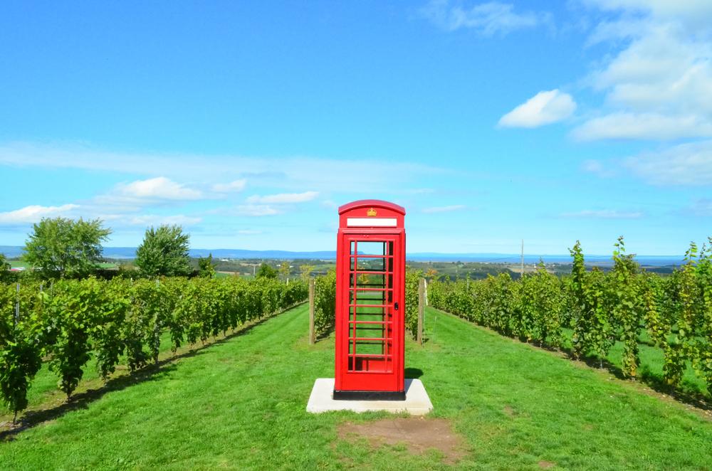 An iconic red English phone booth sits amidst the vines at Luckett Vineyards, in Nova Scotia's Annapolis Valley. Photo by Shutterstock.