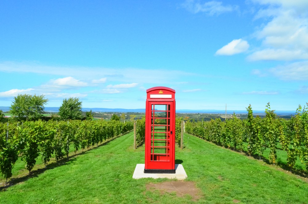 An iconic red English phone booth sits amidst the vines at Luckett Vineyards, in Nova Scotia's Annapolis Valley. Photo by Shutterstock.