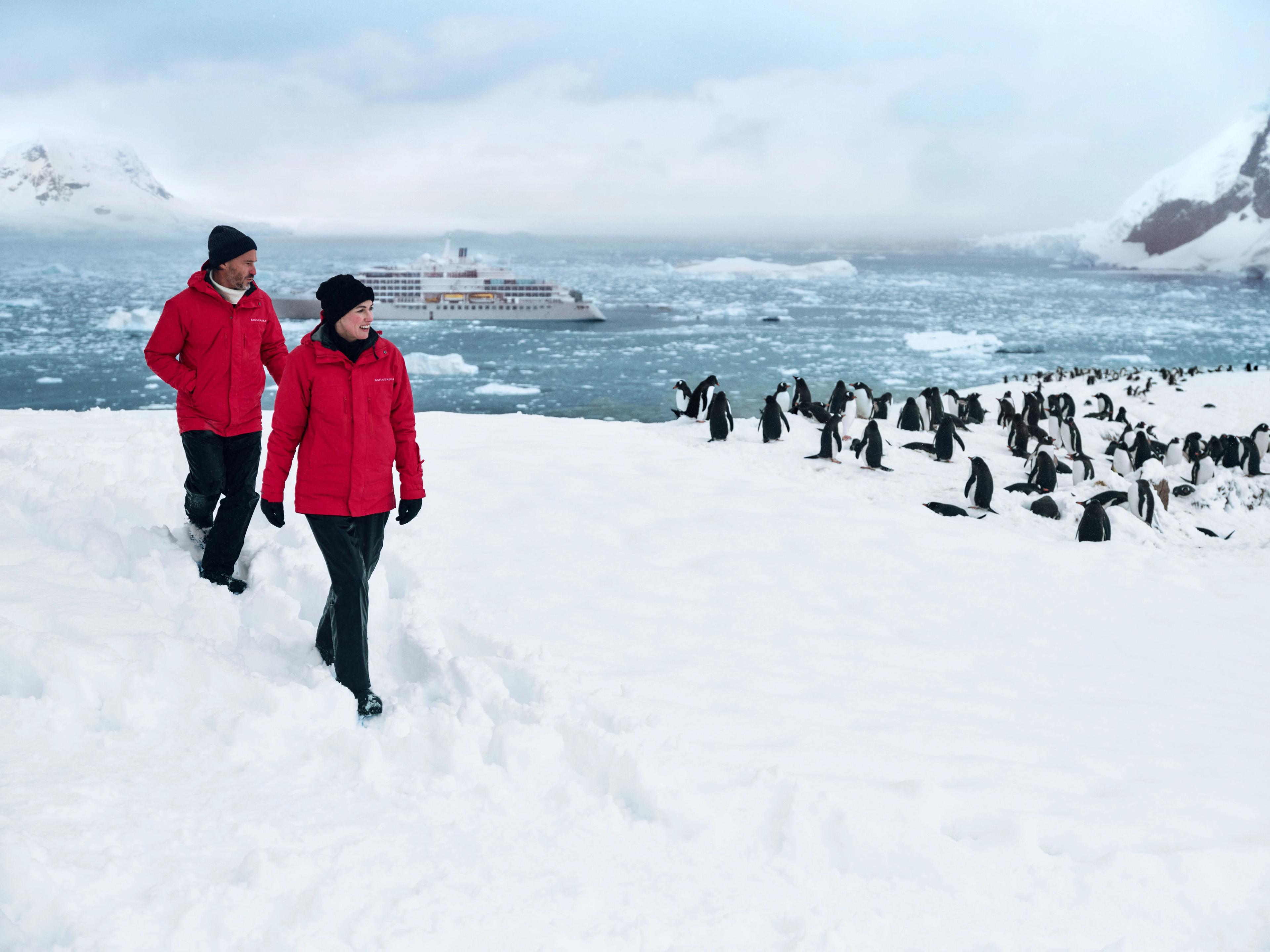 A cruise to Antarctica is the occasion to meet penguins