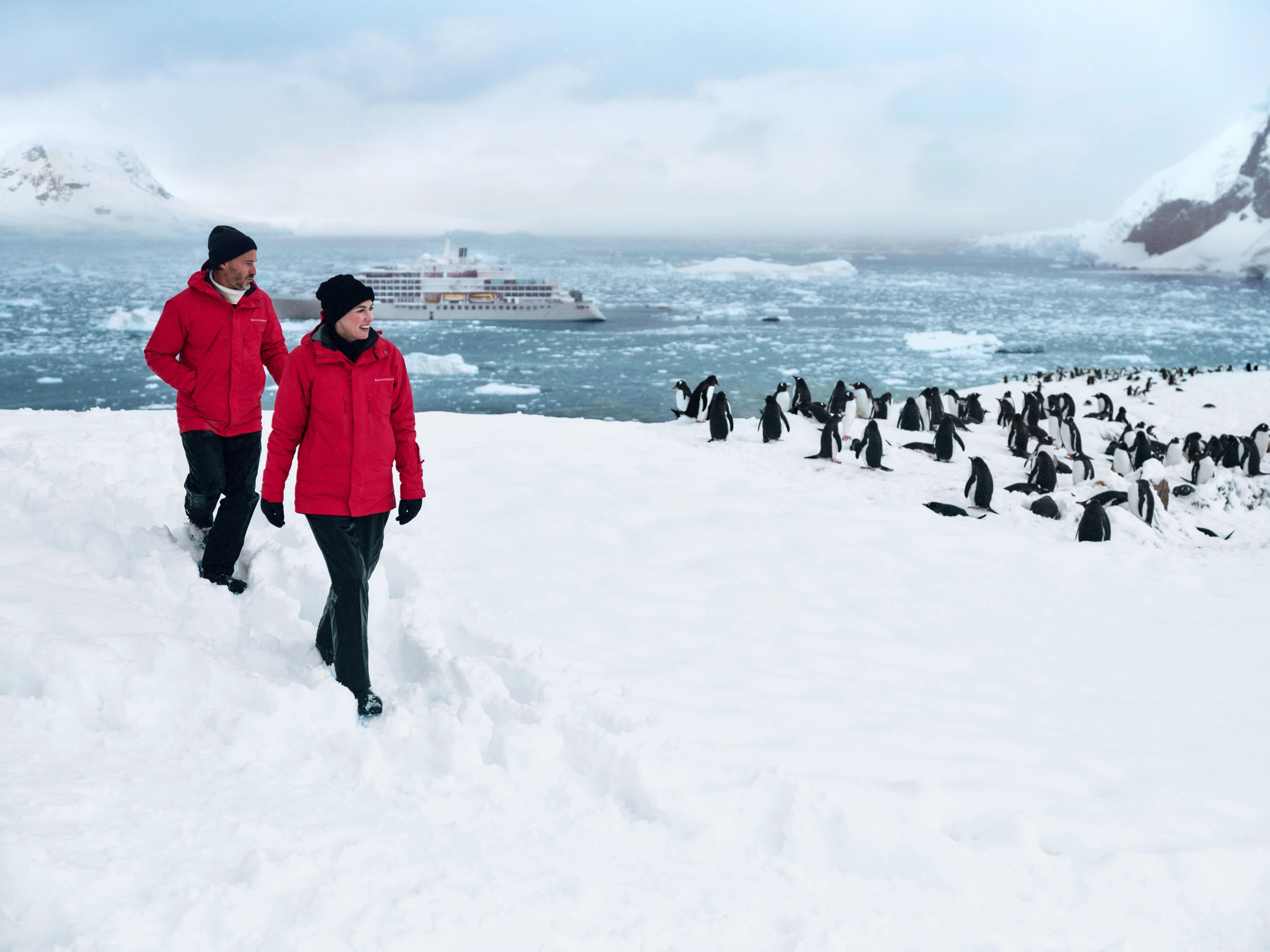 A cruise to Antarctica is the occasion to meet penguins