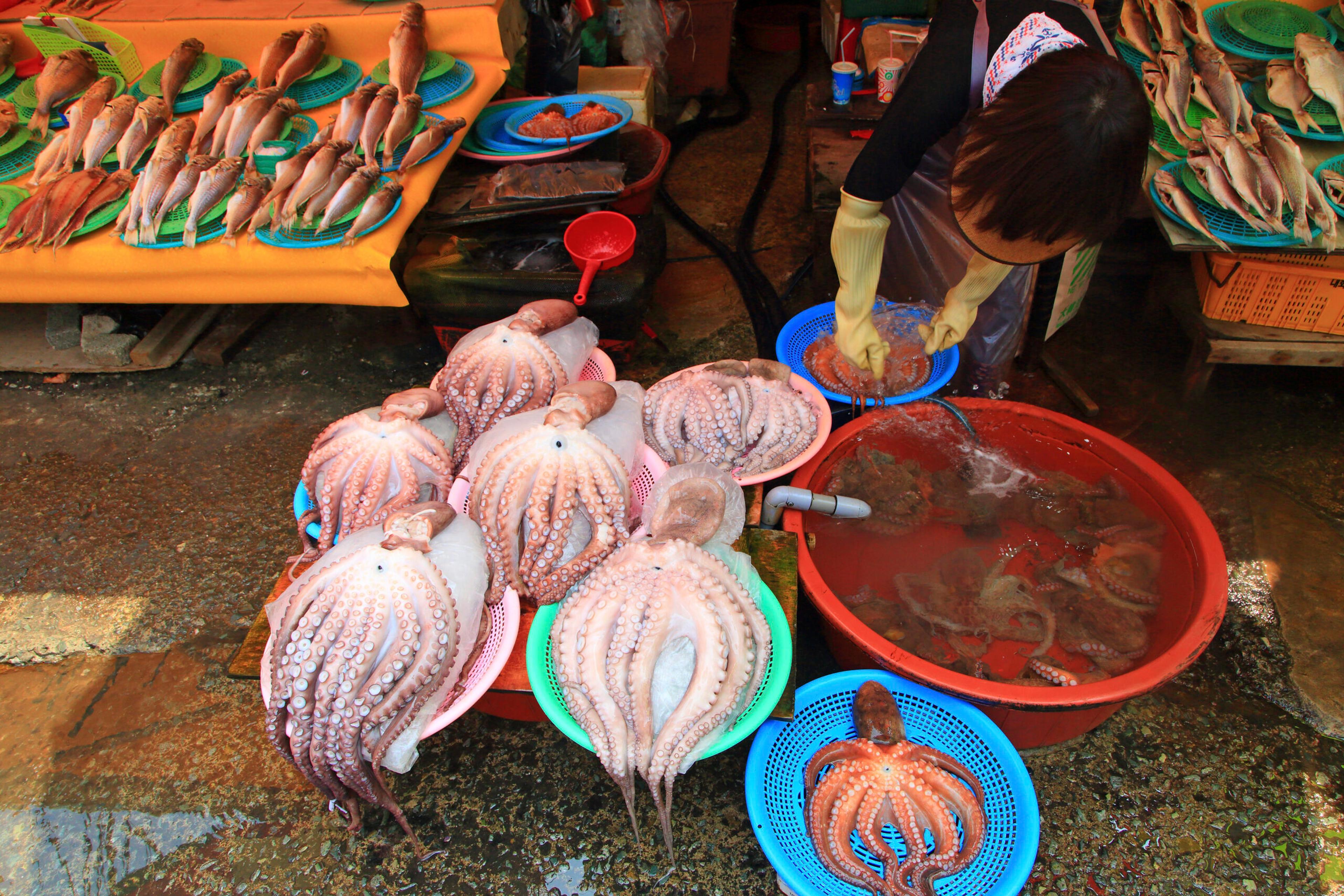 Jagalchi Fish Market promises fresh seafood./Getty Images