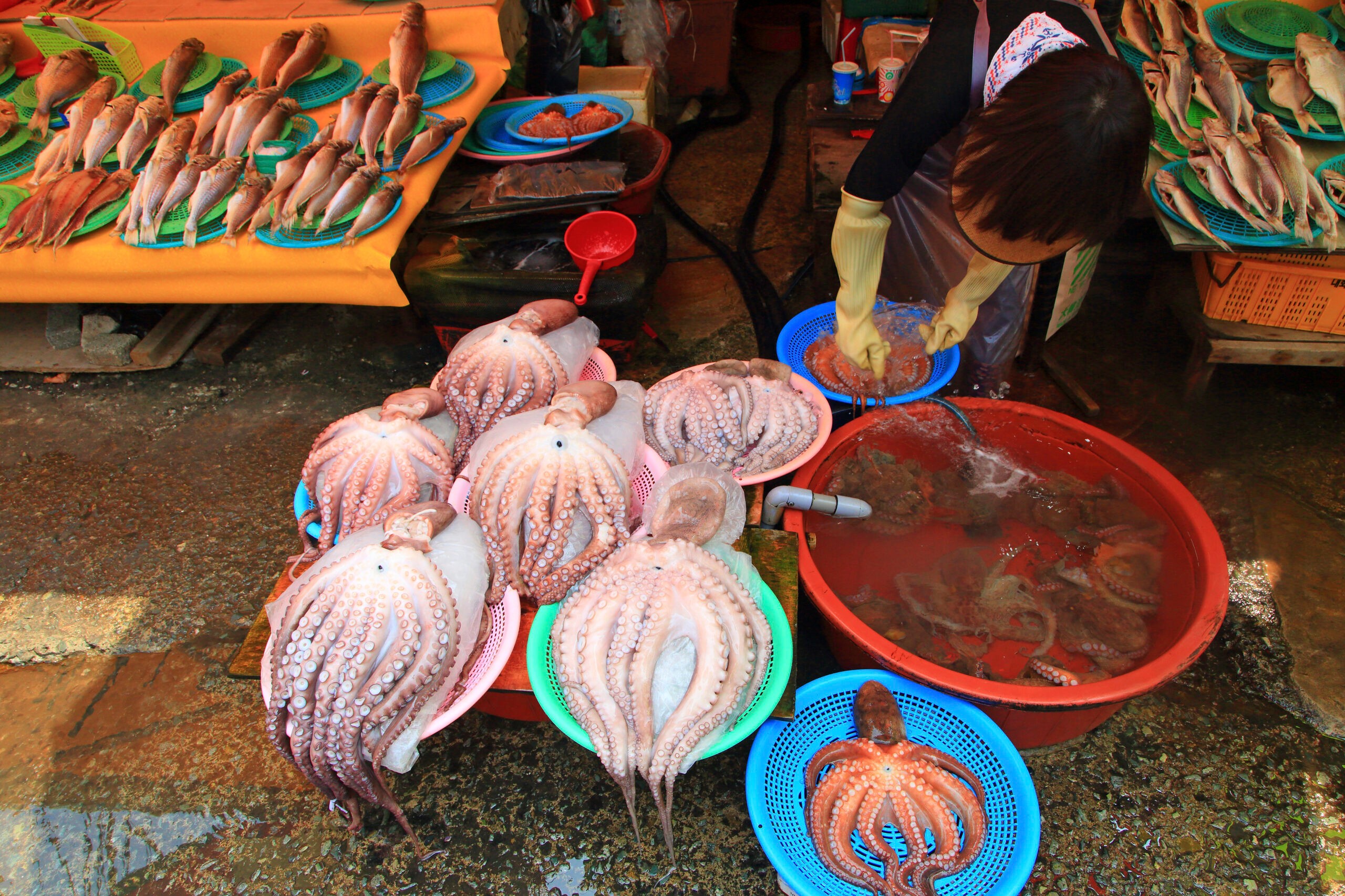 Jagalchi Fish Market promises fresh seafood./Getty Images