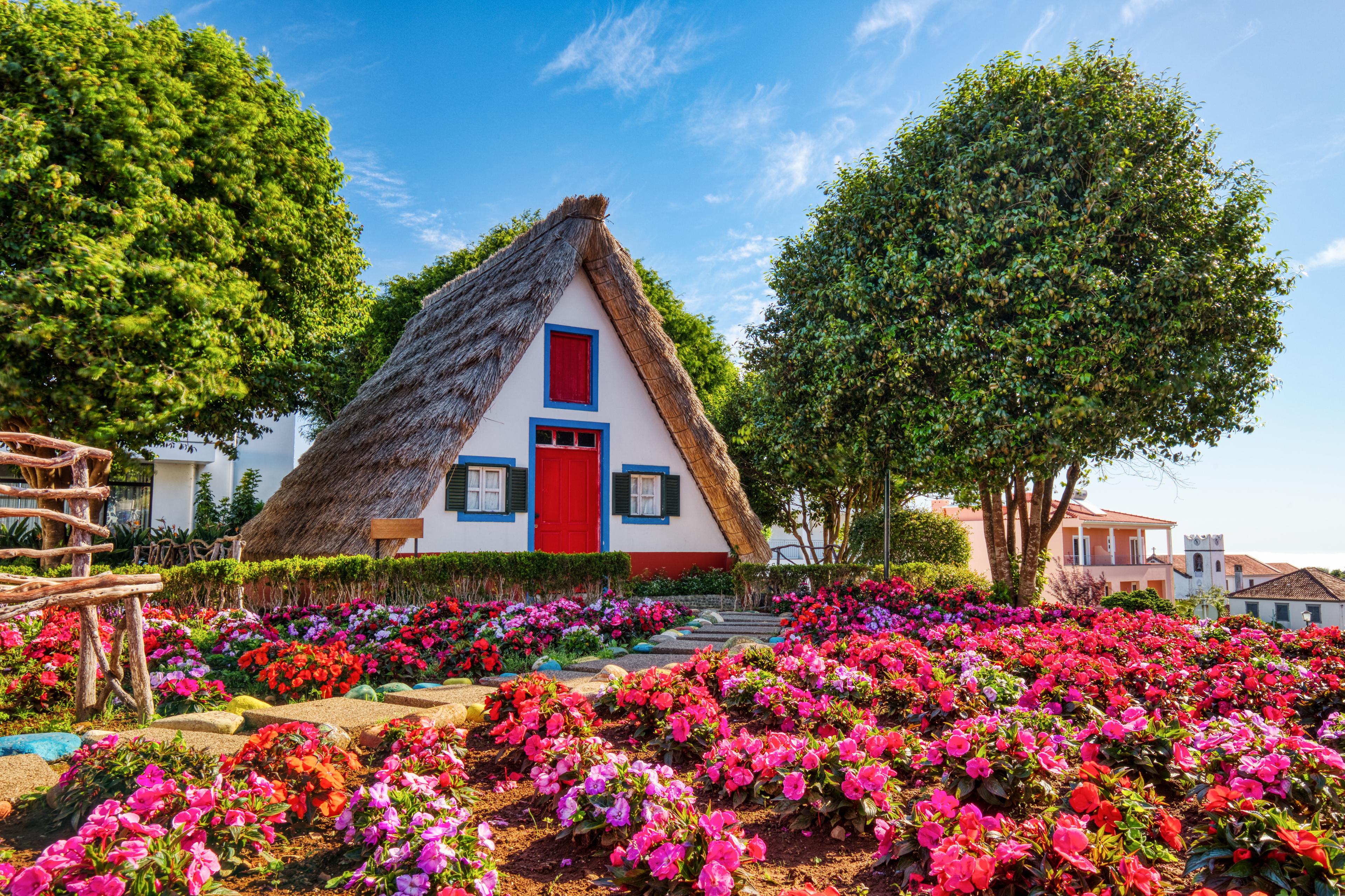 Traditional hut houses and garden of Madeira in village Santana. Sunny day in Portugal, tourist destination