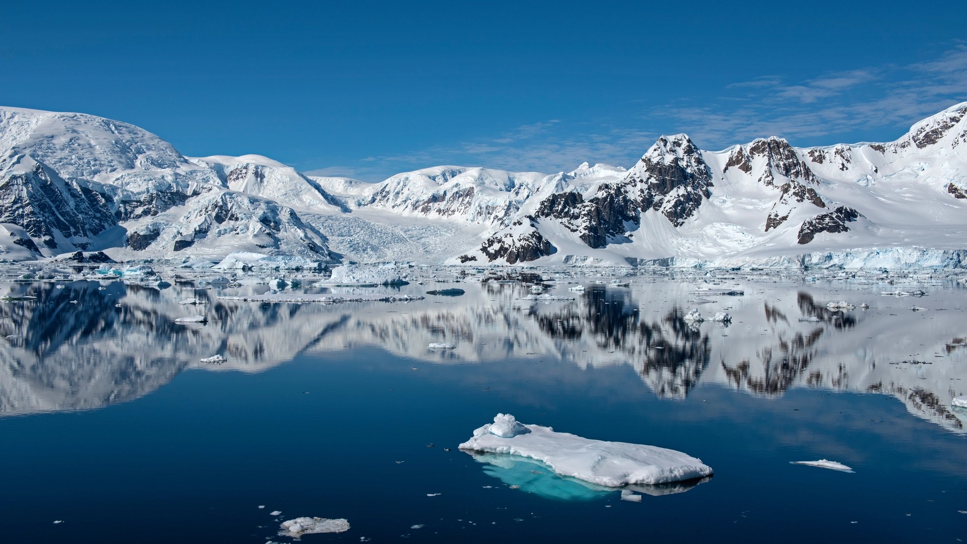 The Best Time to Visit Antarctica