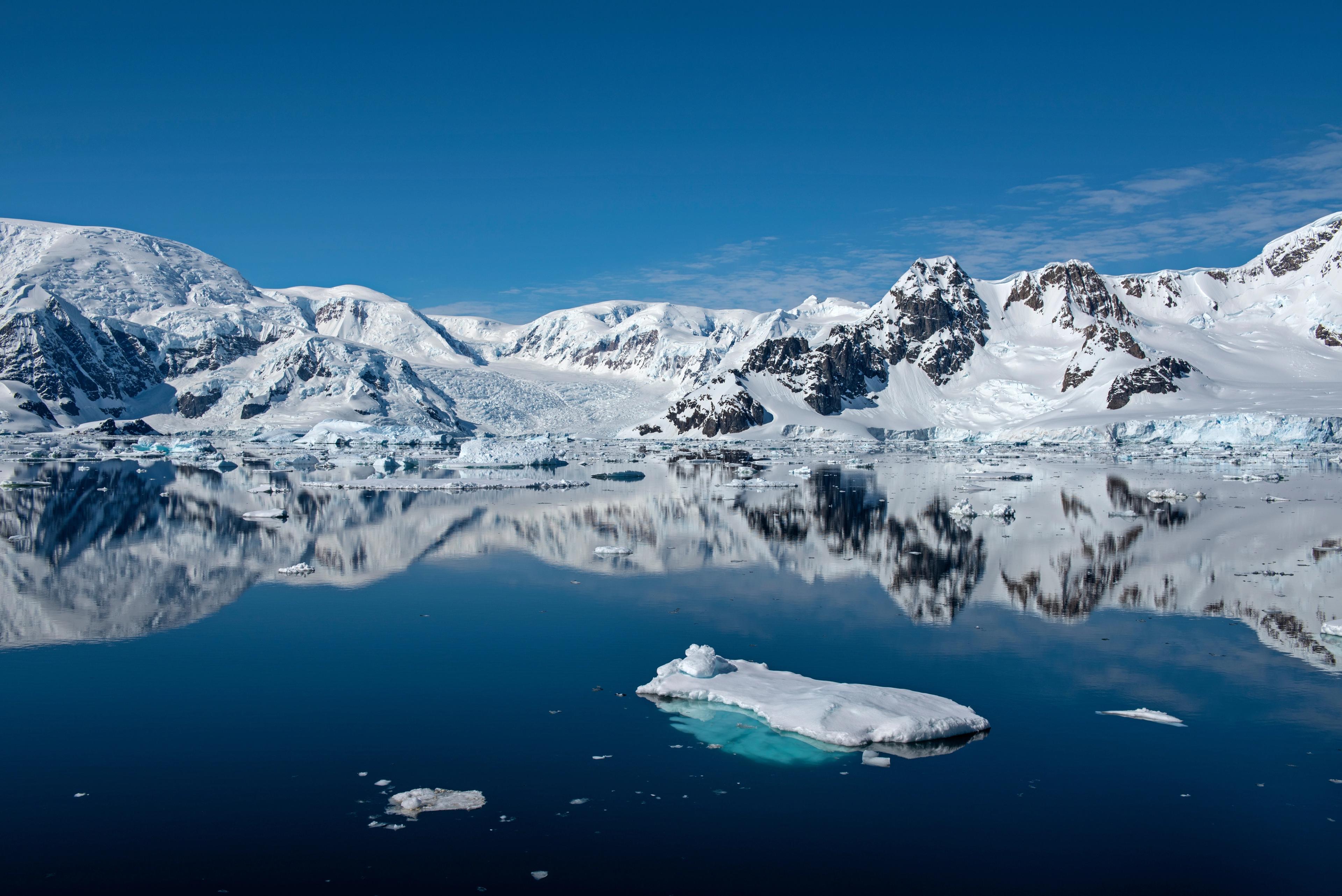 The Best Time to Visit Antarctica