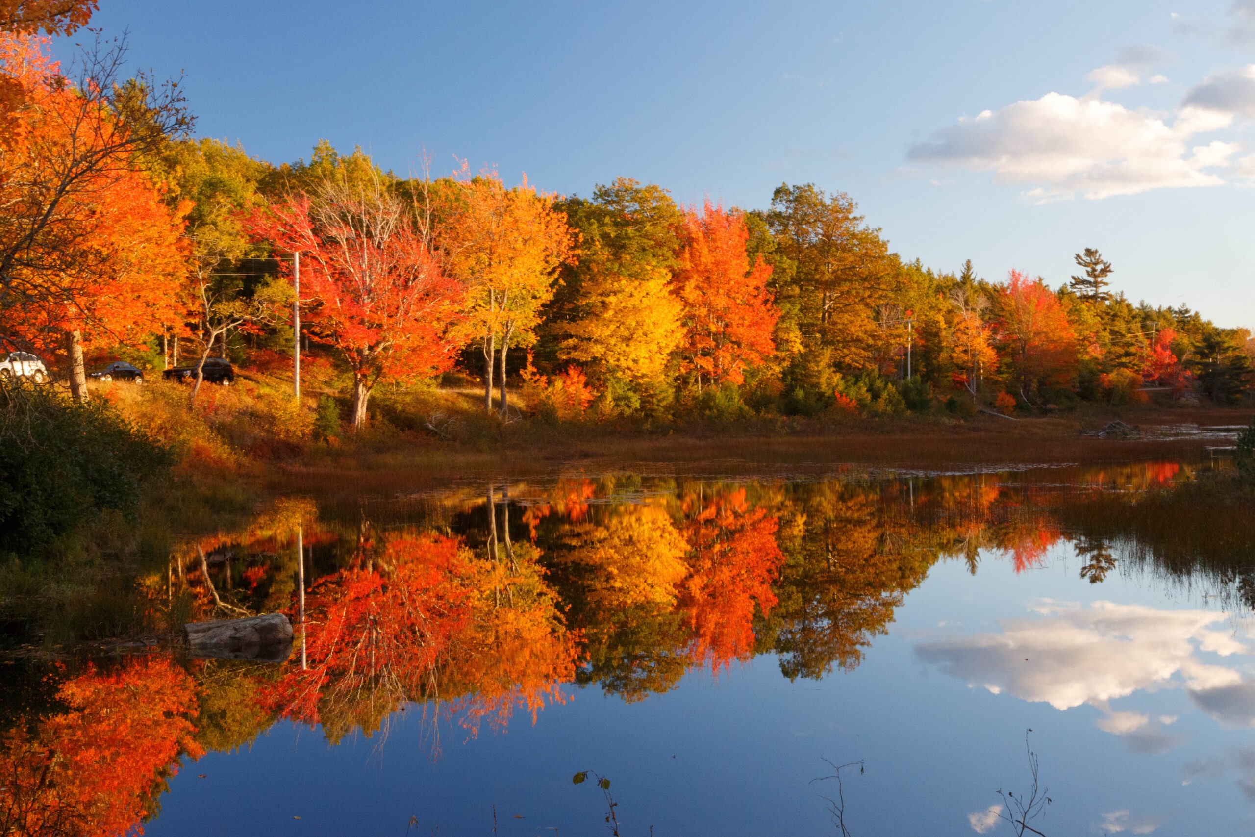 Acadia National Park in its fall finery./Shutterstock