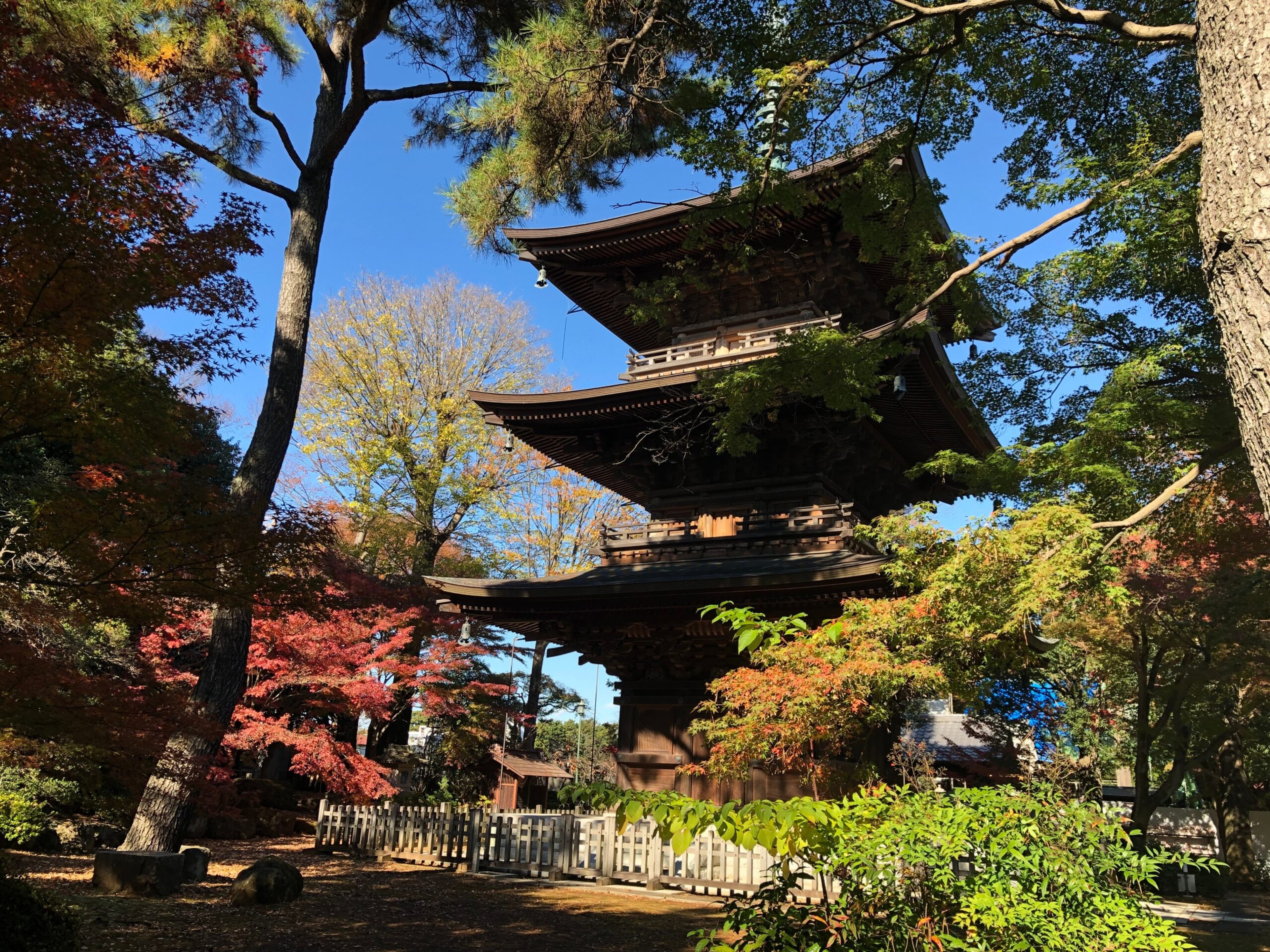 Gotokuji Temple in Japan is one place credited as the birthplace of the beckoning cat (photo at top of story)./Shutterstock