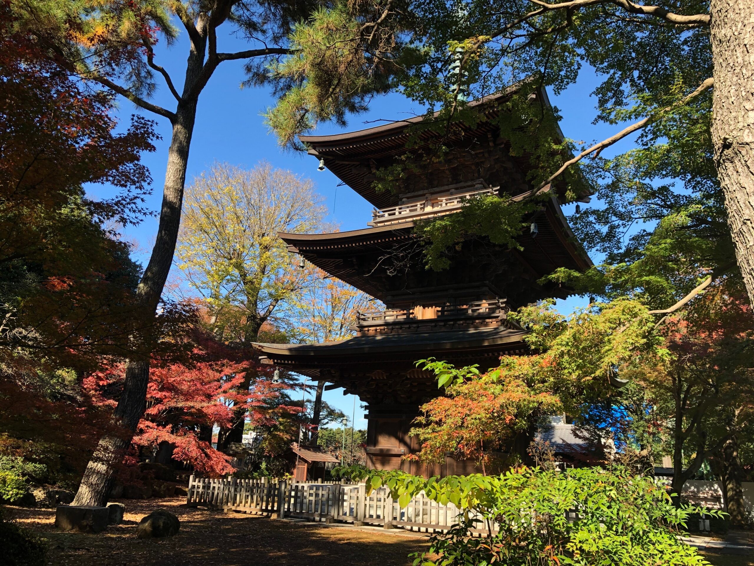 Gotokuji Temple in Japan is one place credited as the birthplace of the beckoning cat (photo at top of story)./Shutterstock