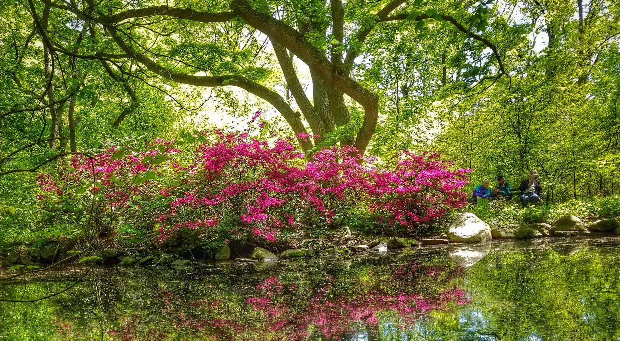 In New York City’s 38-Acre Ramble, You’ll Find a Secret Parcel of Urban Paradise