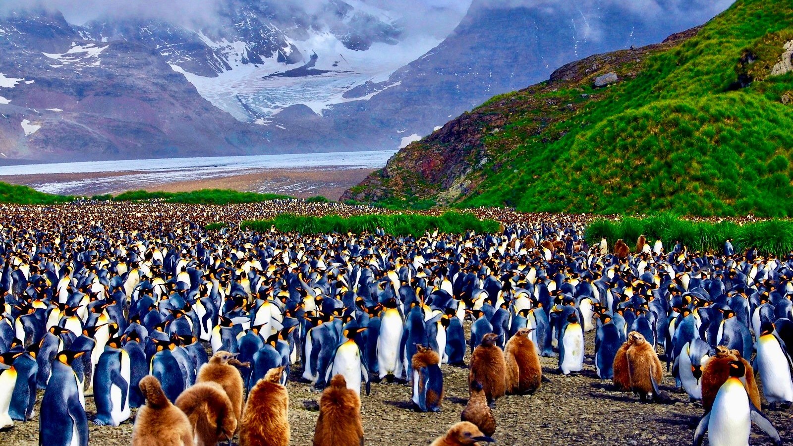 Silversea’s 30th Anniversary: Natural Beauty, Wildlife and Serenity