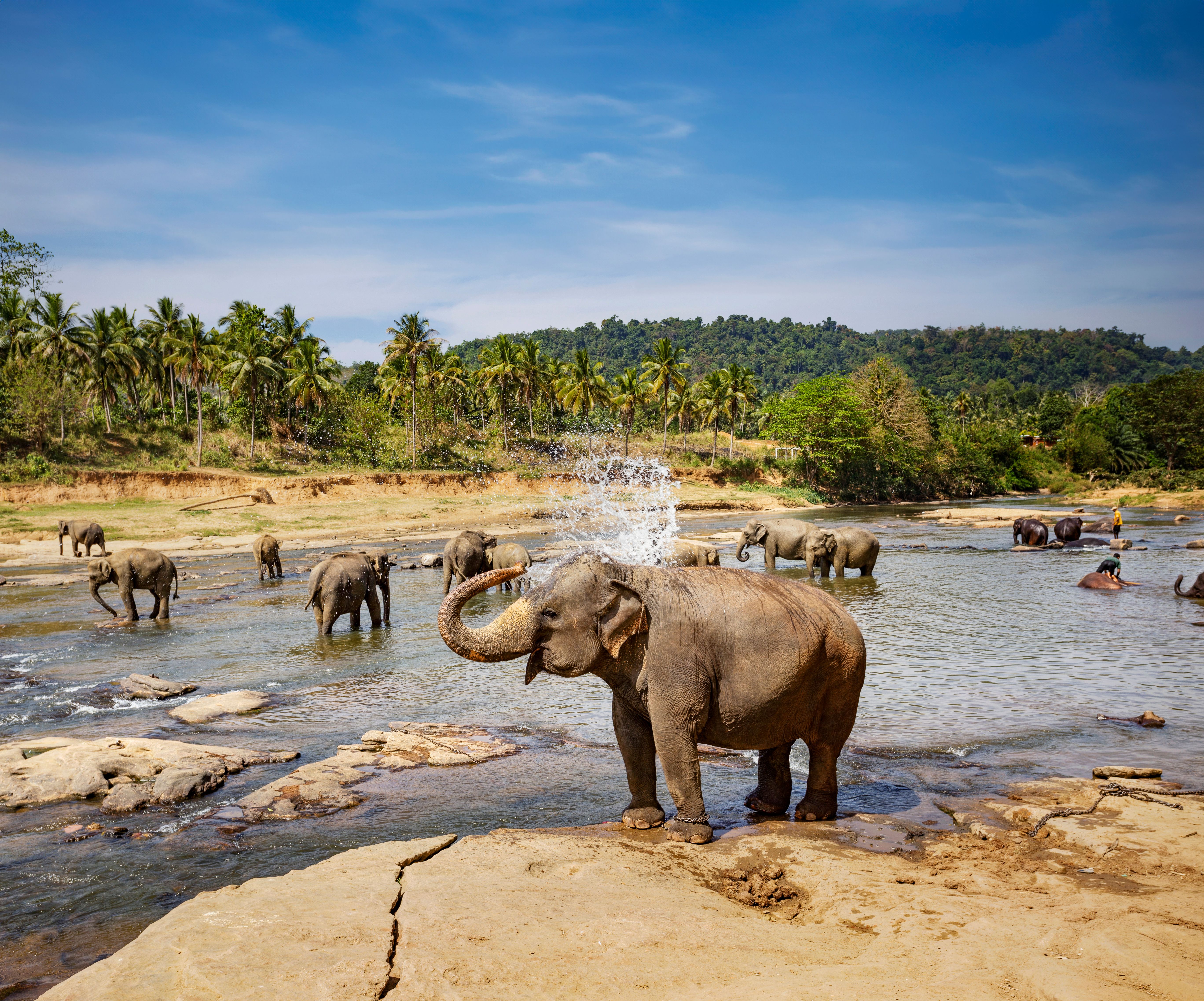 What Is Sri Lanka Known For?