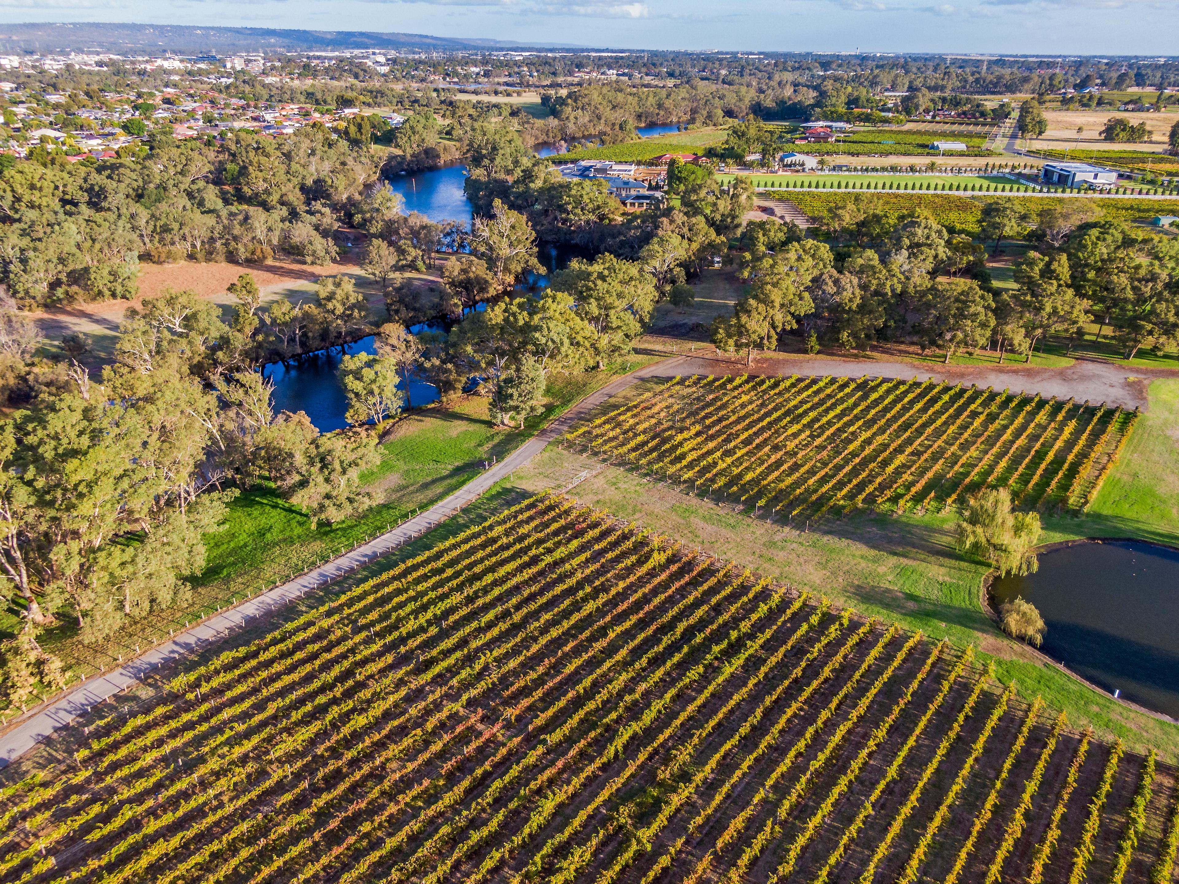 Perth's wine country