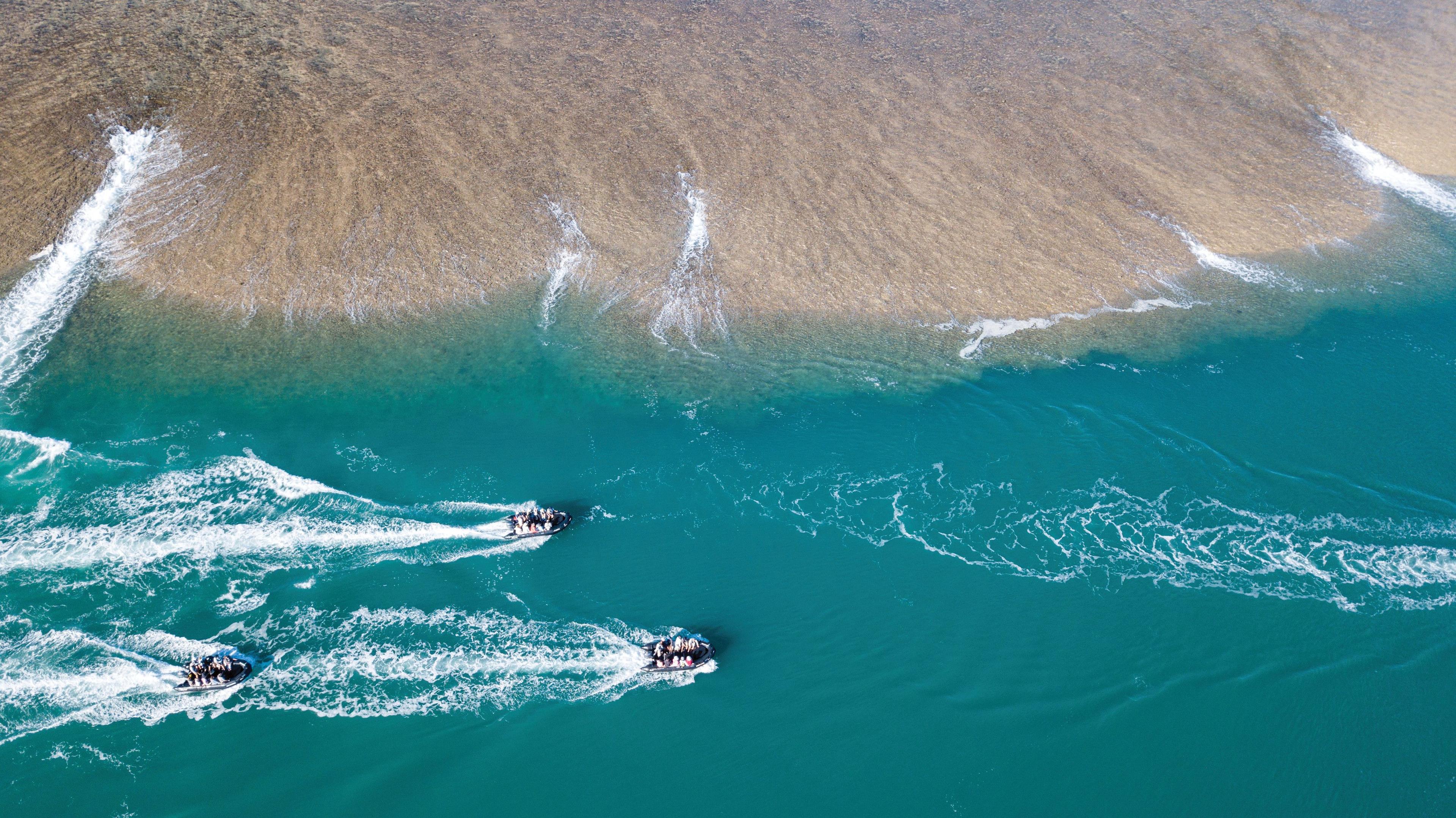 Montgomery Reef is the perfect place for a Zodiac tour