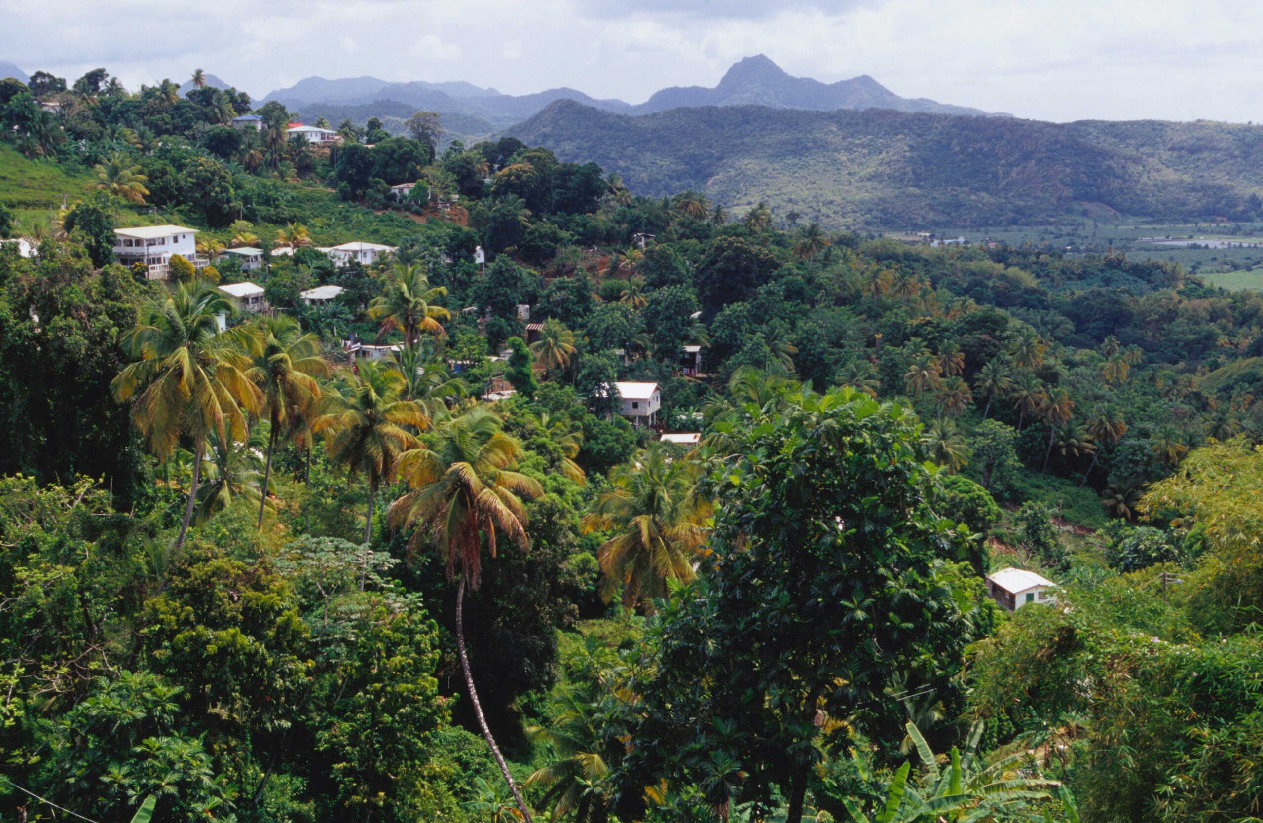 Roseau Valley in St. Lucia/Getty Images