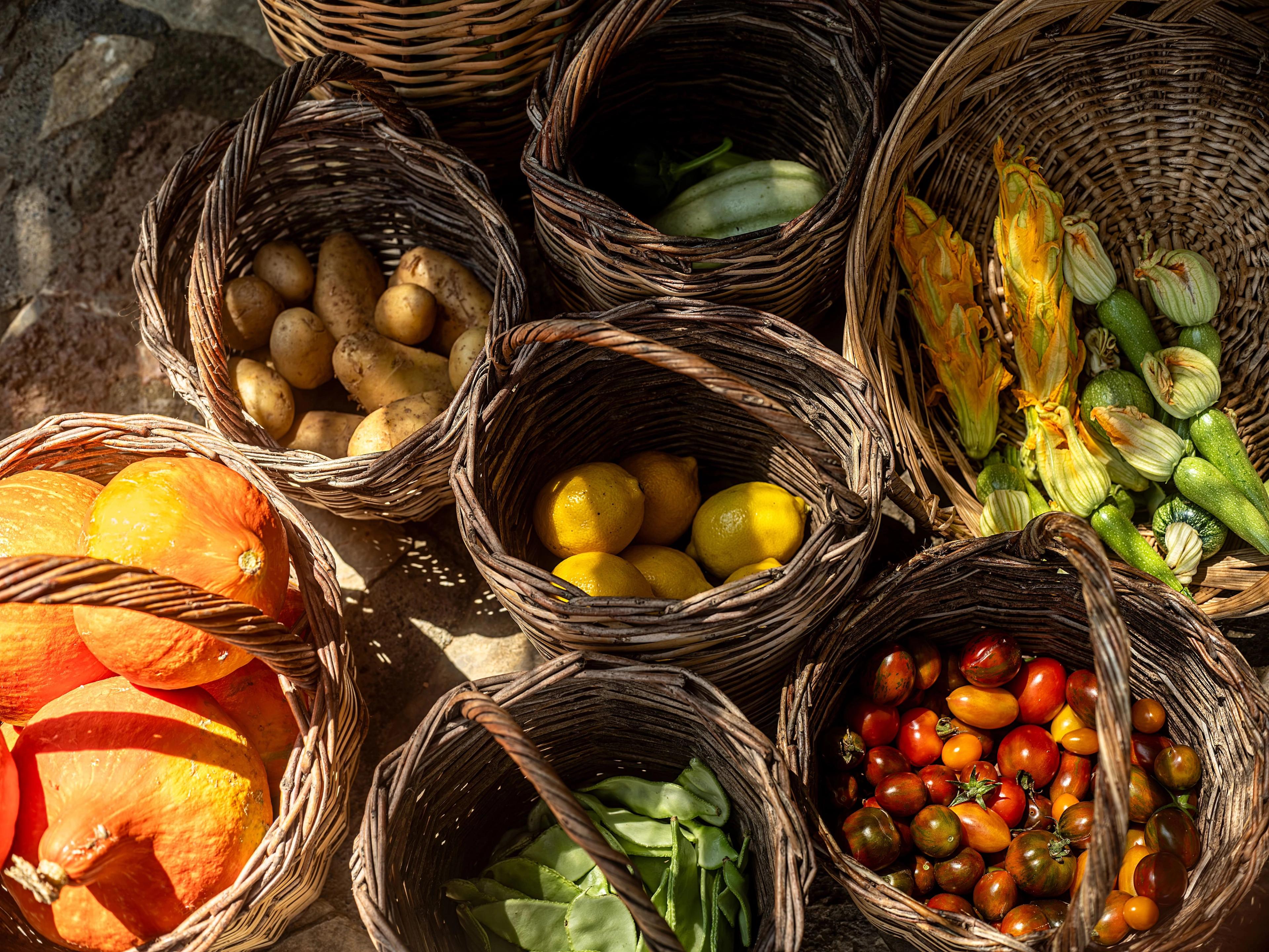 Wicker baskets overflowing with fresh harvest pumpkins, potatoes, lemons, tomatoes, and green beans