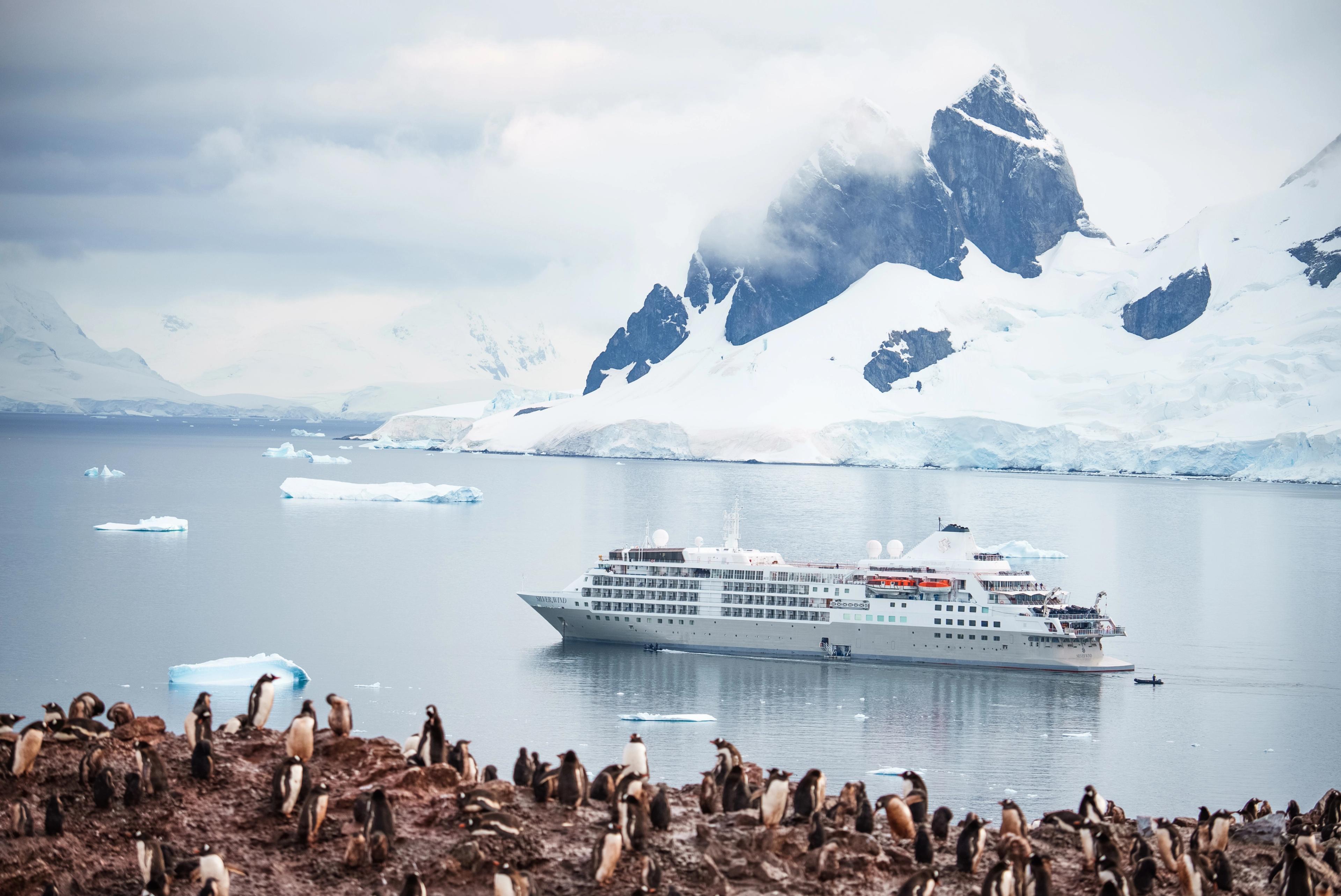 A large colony of penguins occupies the rocky shore, typical of the wildlife encounters offered by the Expedition Cruise specialized in polar experience.