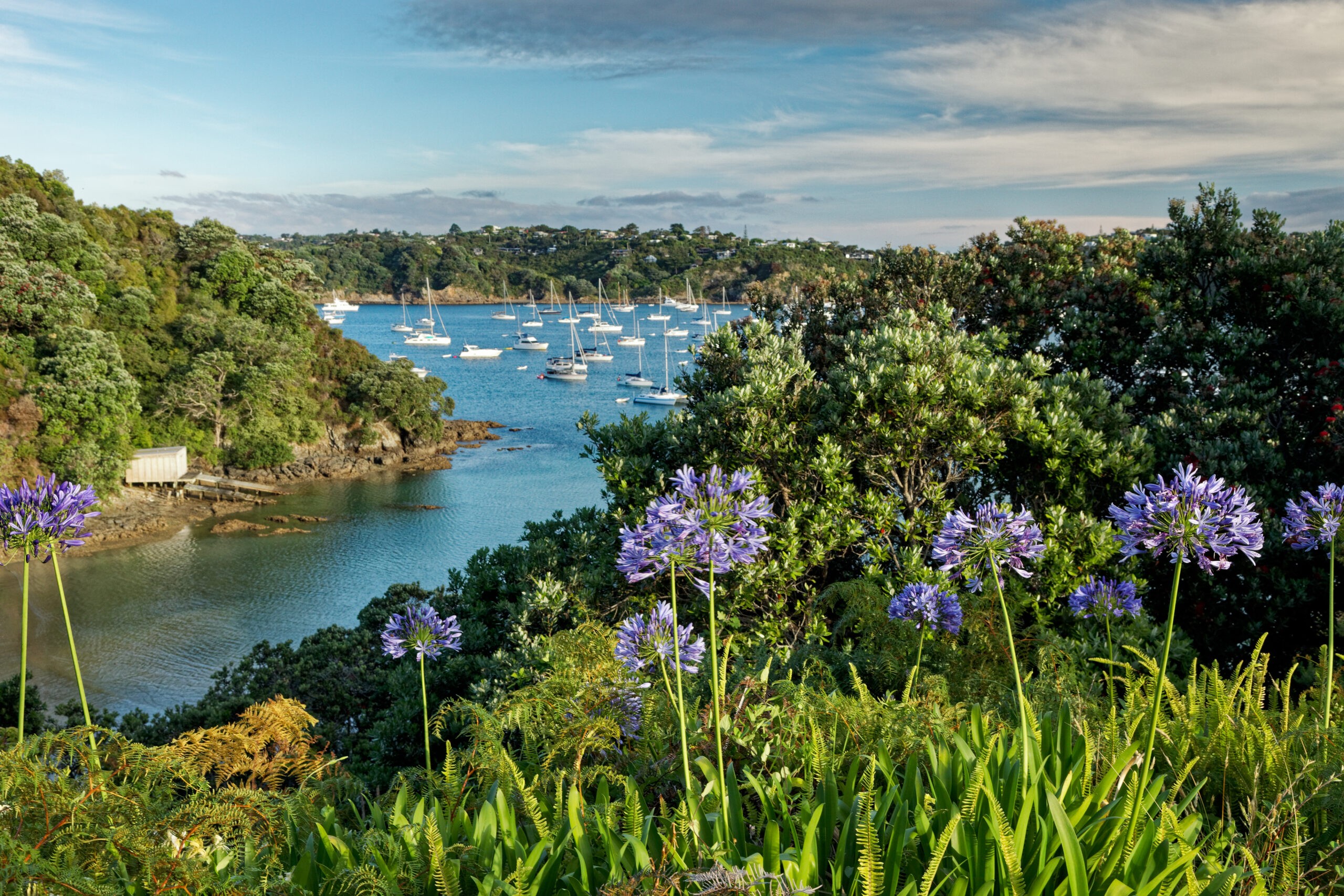Onetangi Bay on Waiheke Island. It is as pretty as it looks./Getty Images